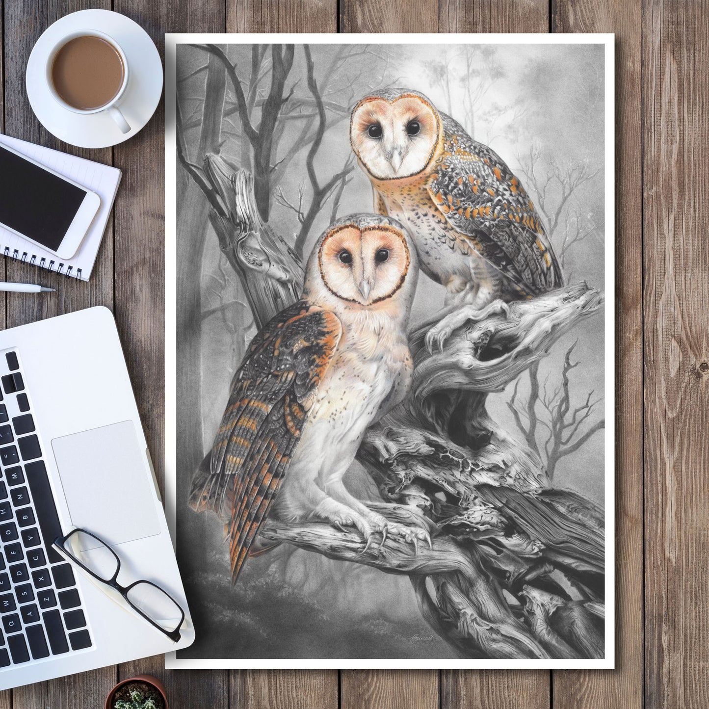 'Tasmanian Masked Owls' art print