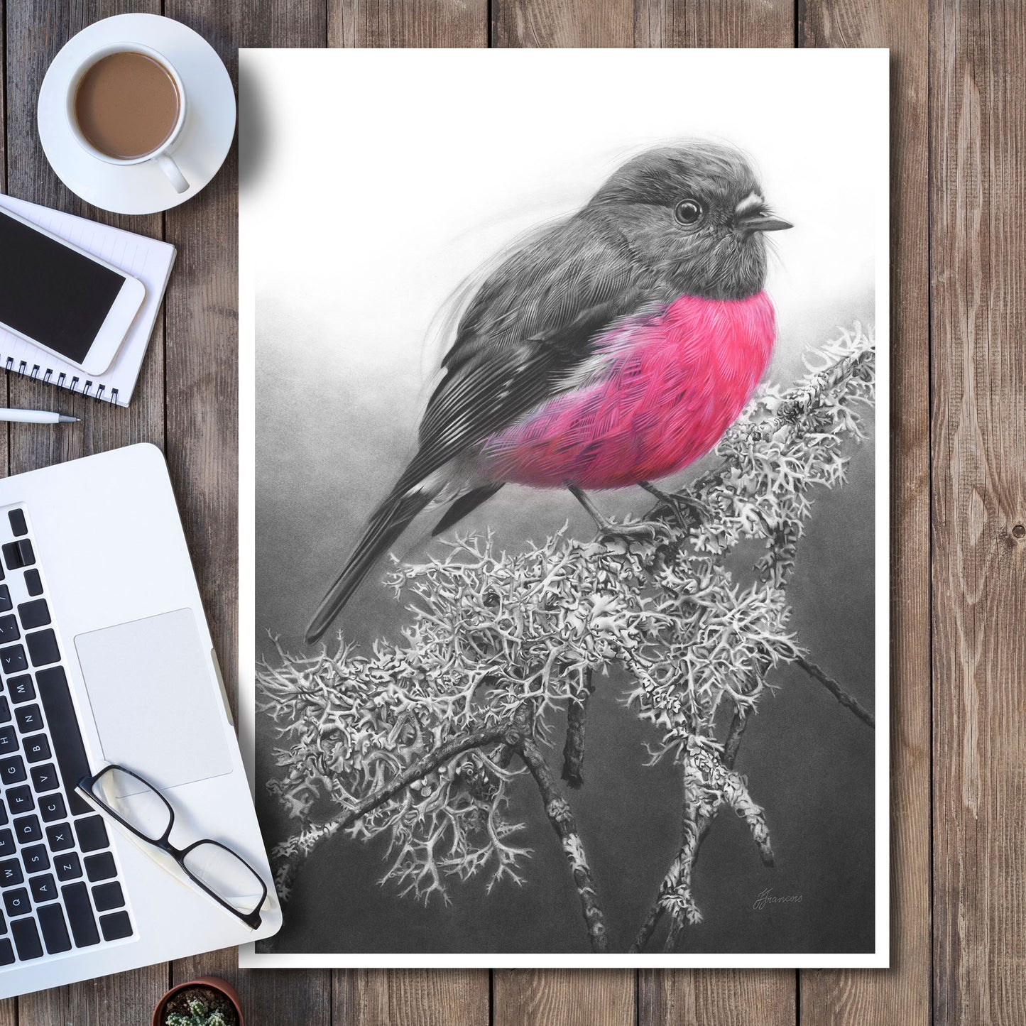 'Pink Robin' art print