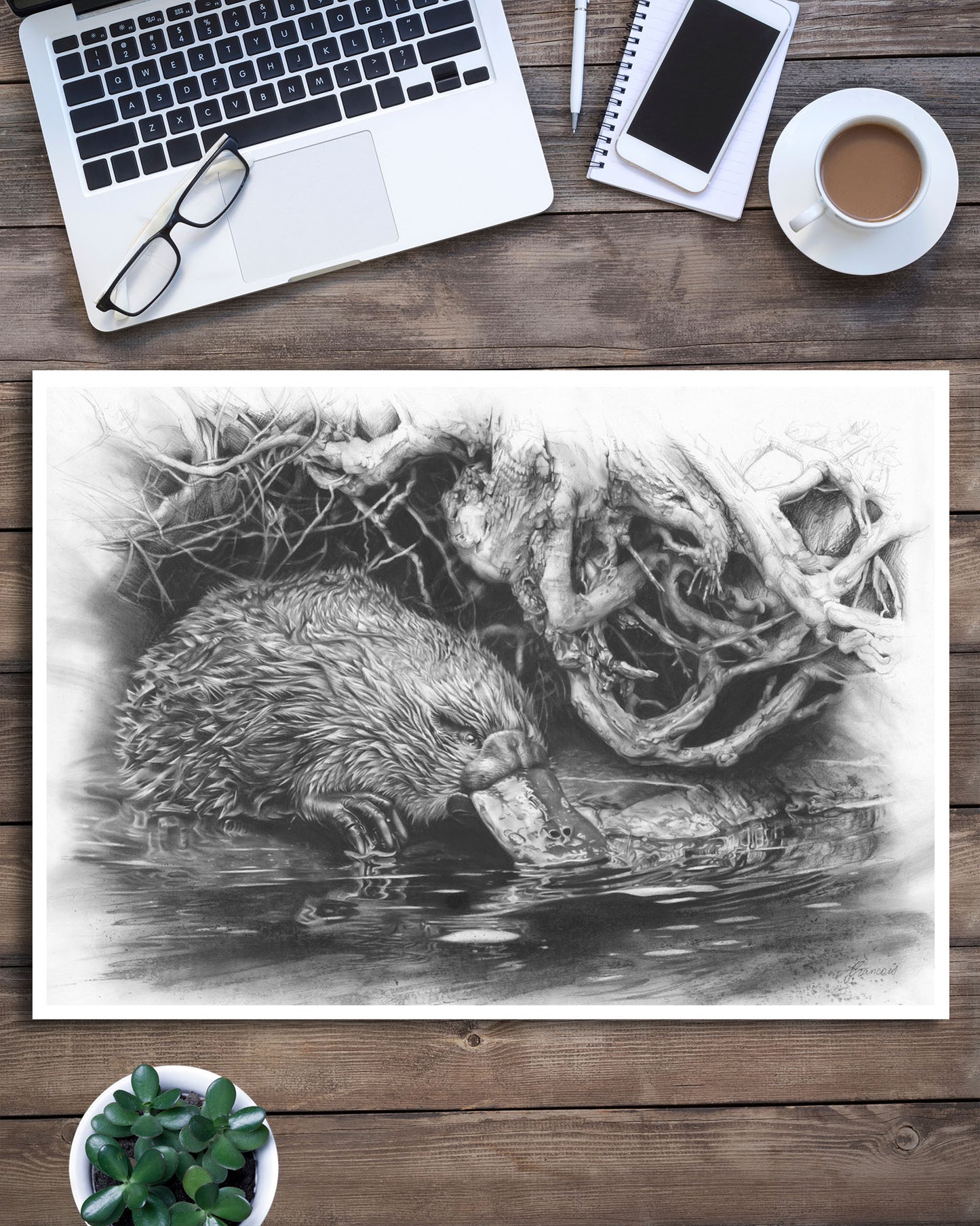 'Platypus' art print