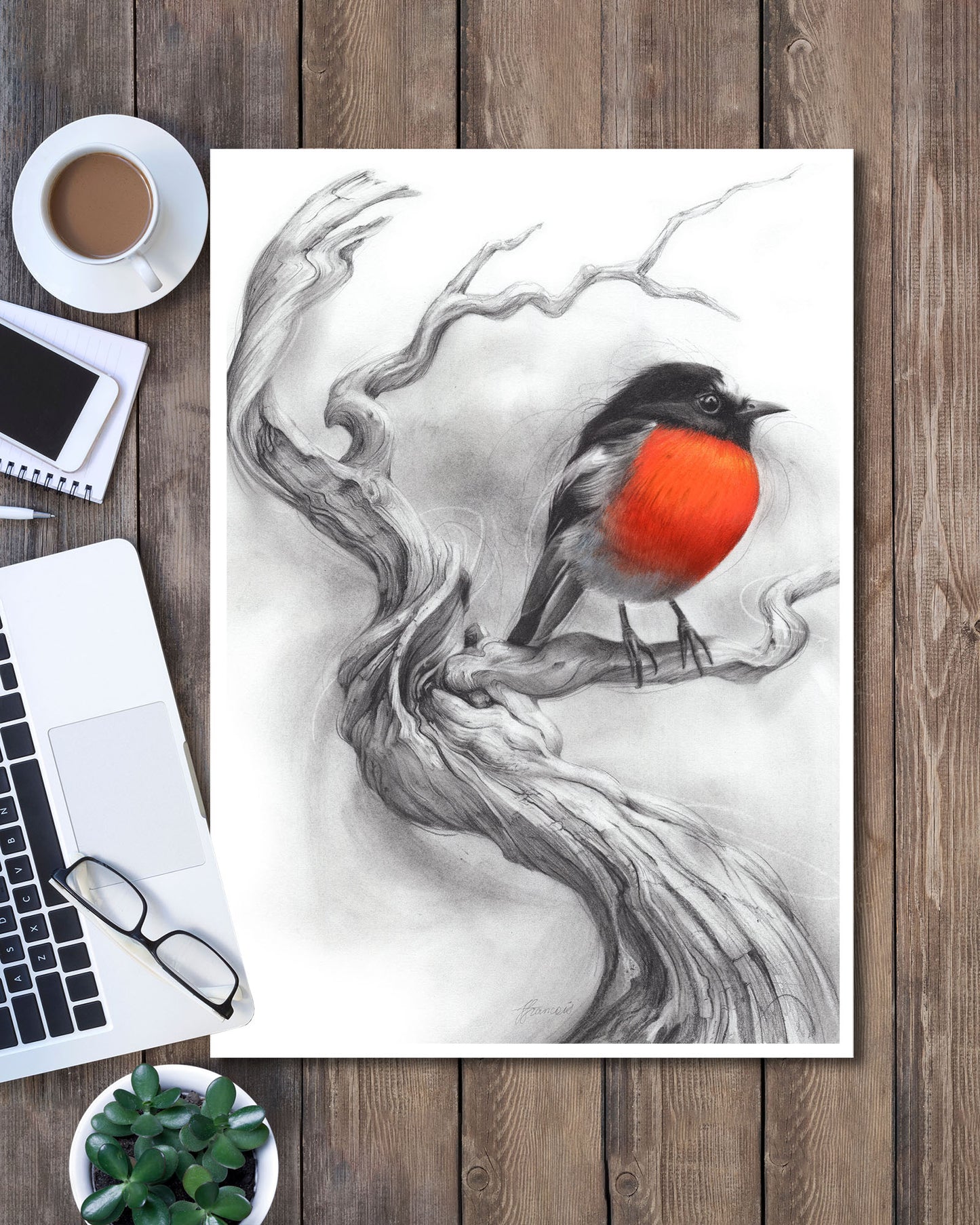 'Scarlet Robin' art print
