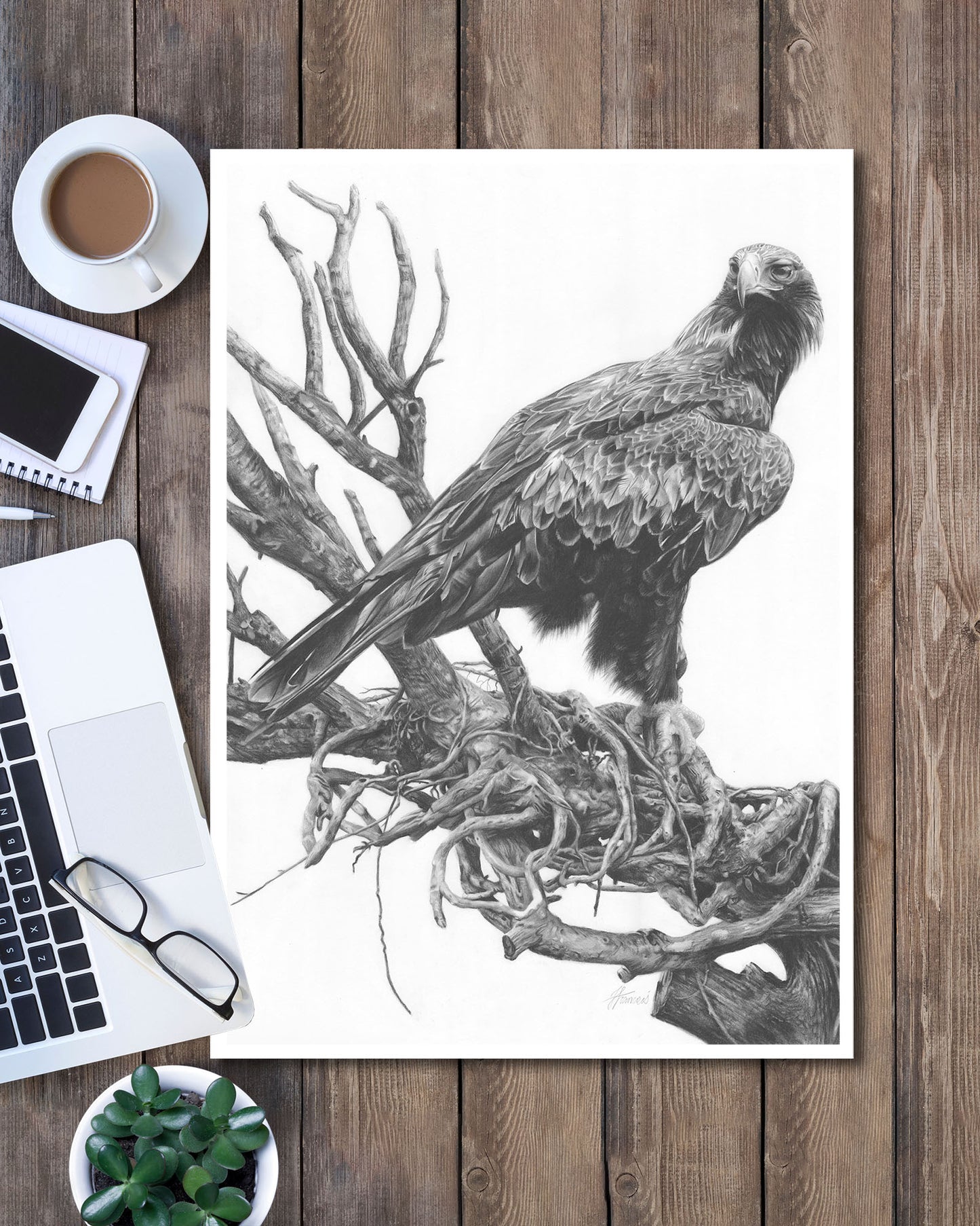 'Wedge-tailed Eagle' art print