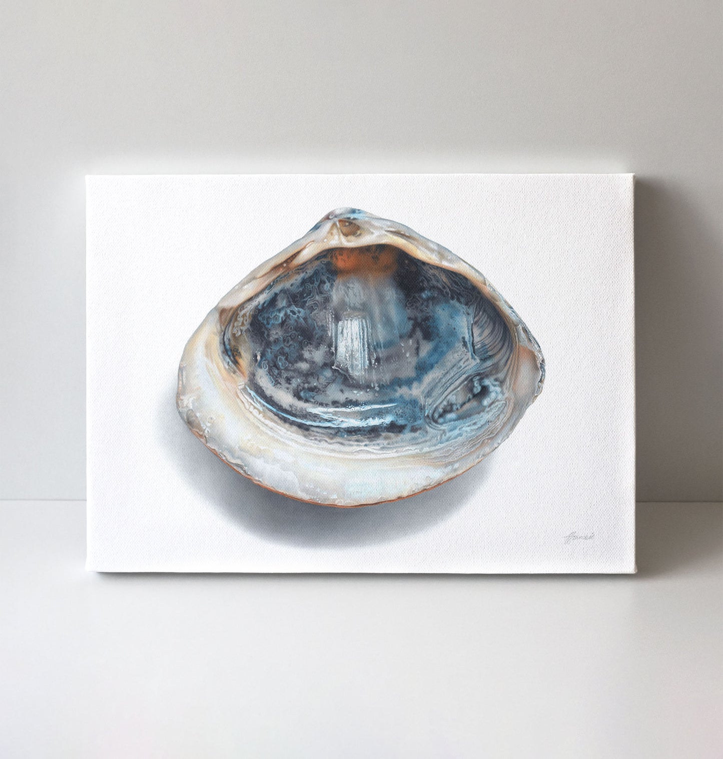 'Blue Shell' canvas print