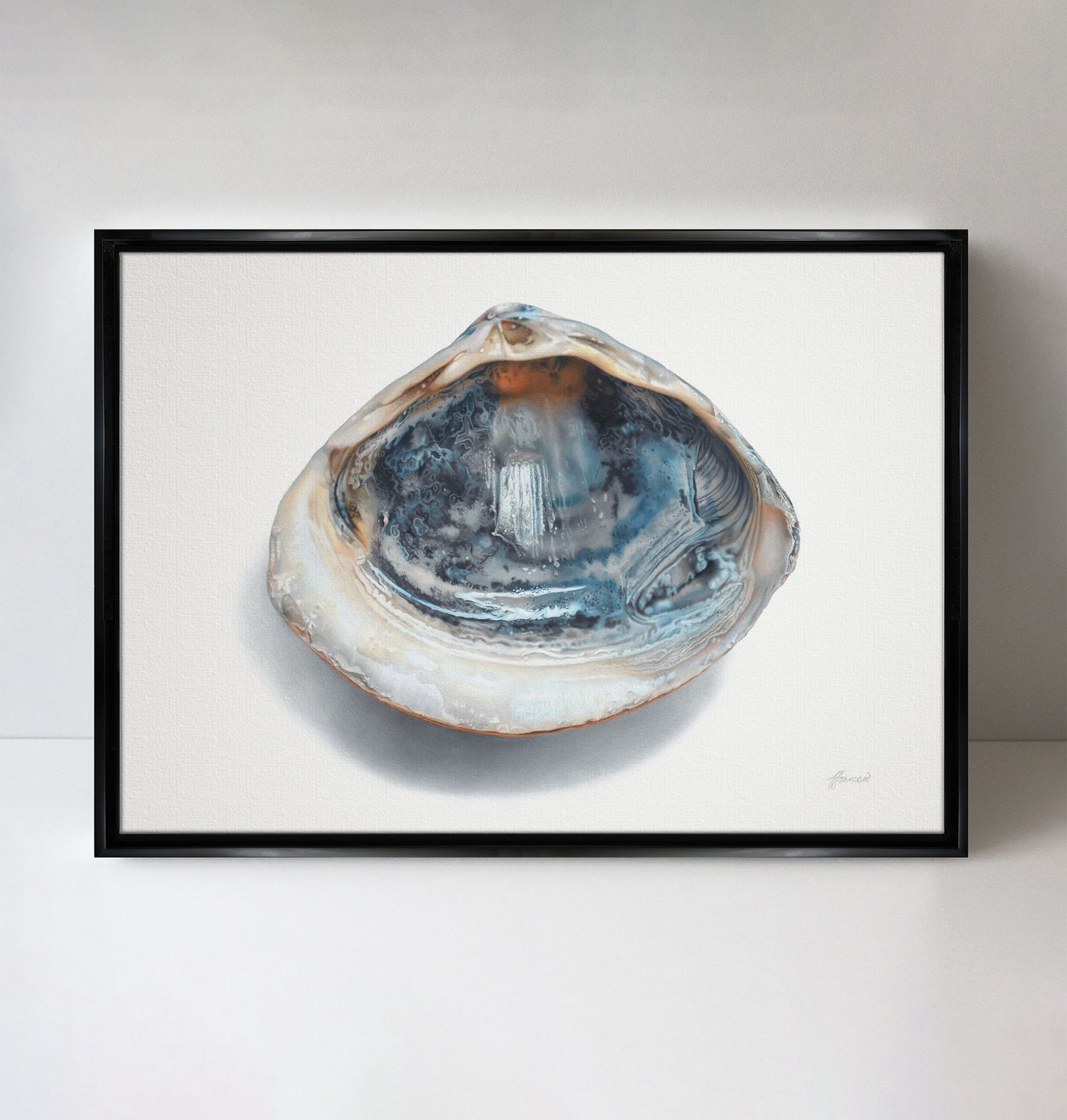 'Blue Shell' canvas print
