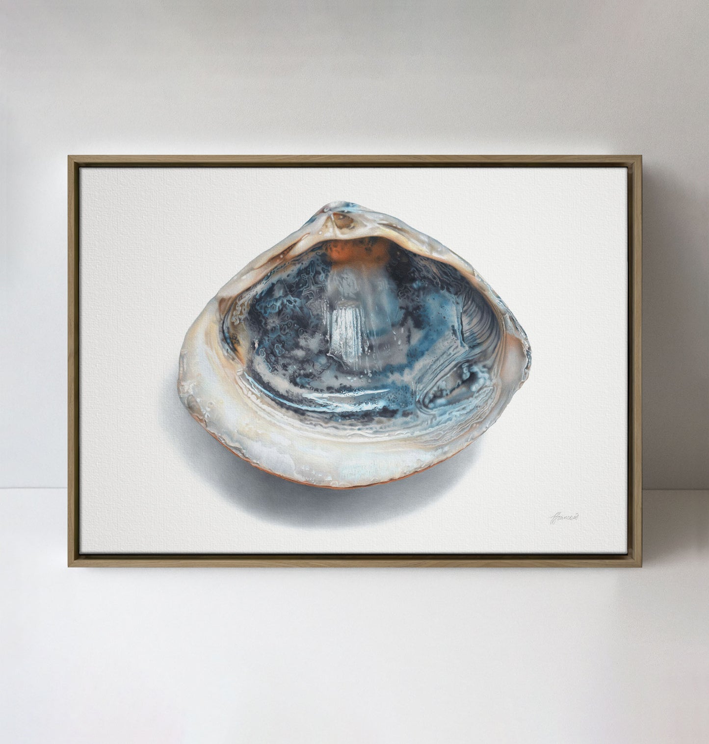 'Blue Shell' canvas print