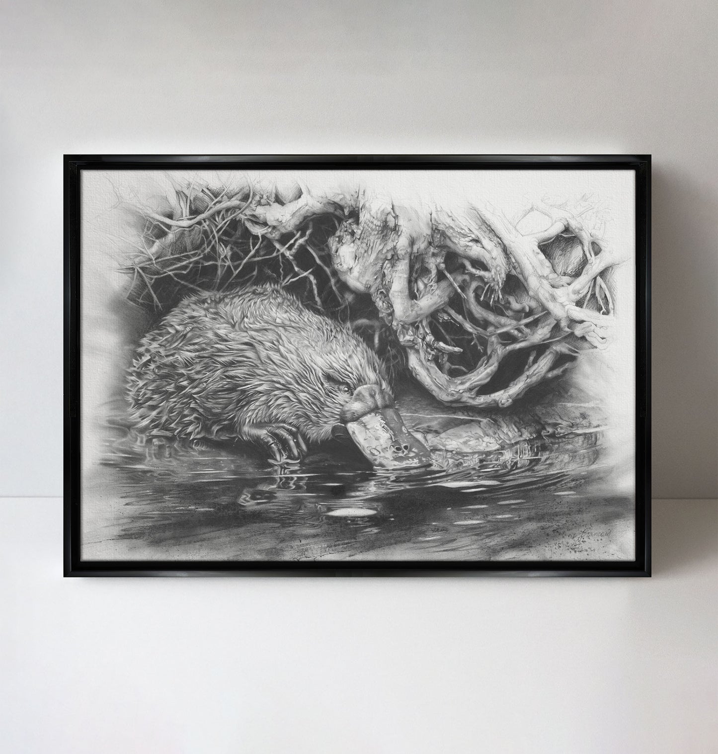 'Platypus' canvas print