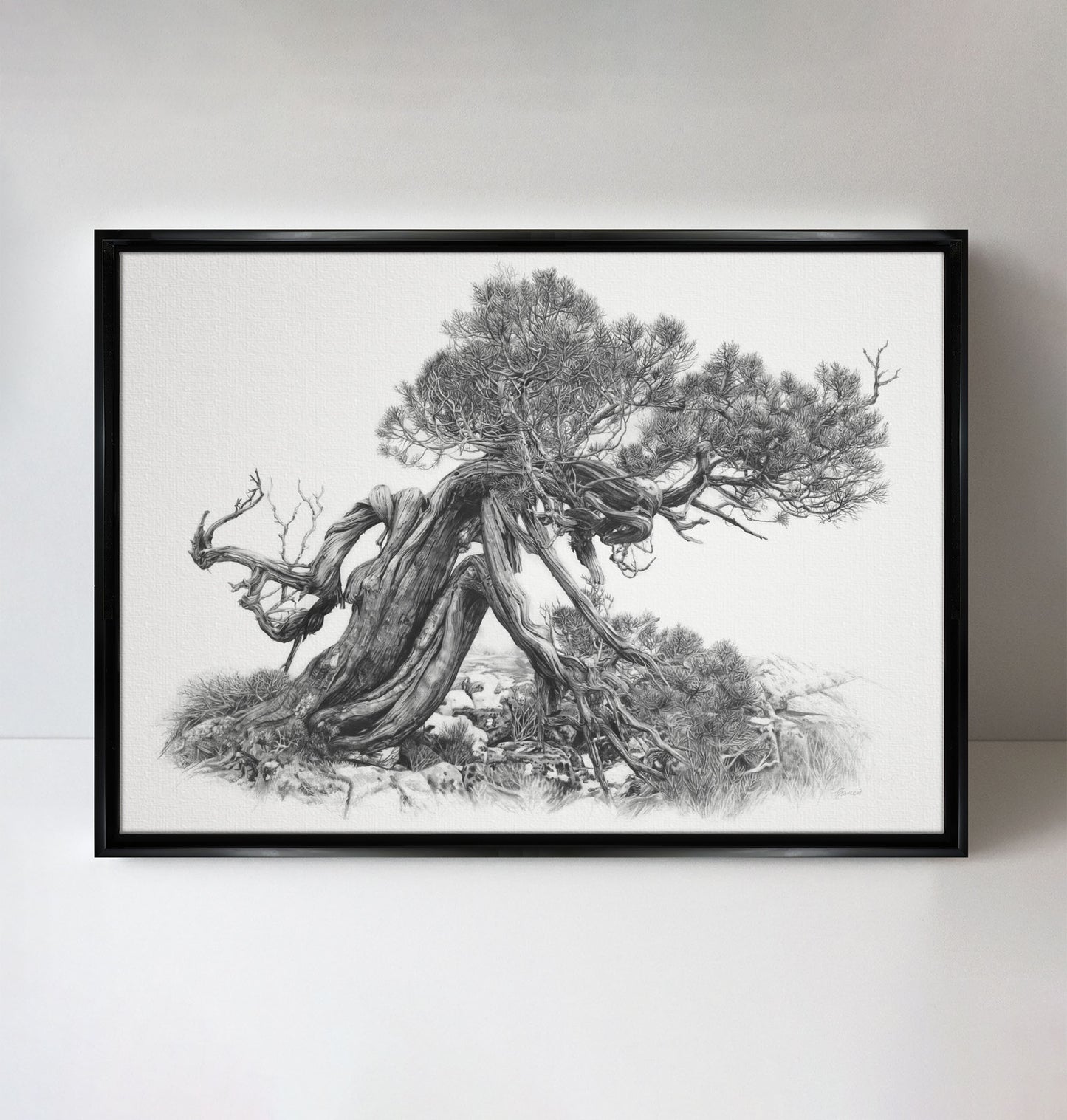 'Tree Elder 2' canvas print