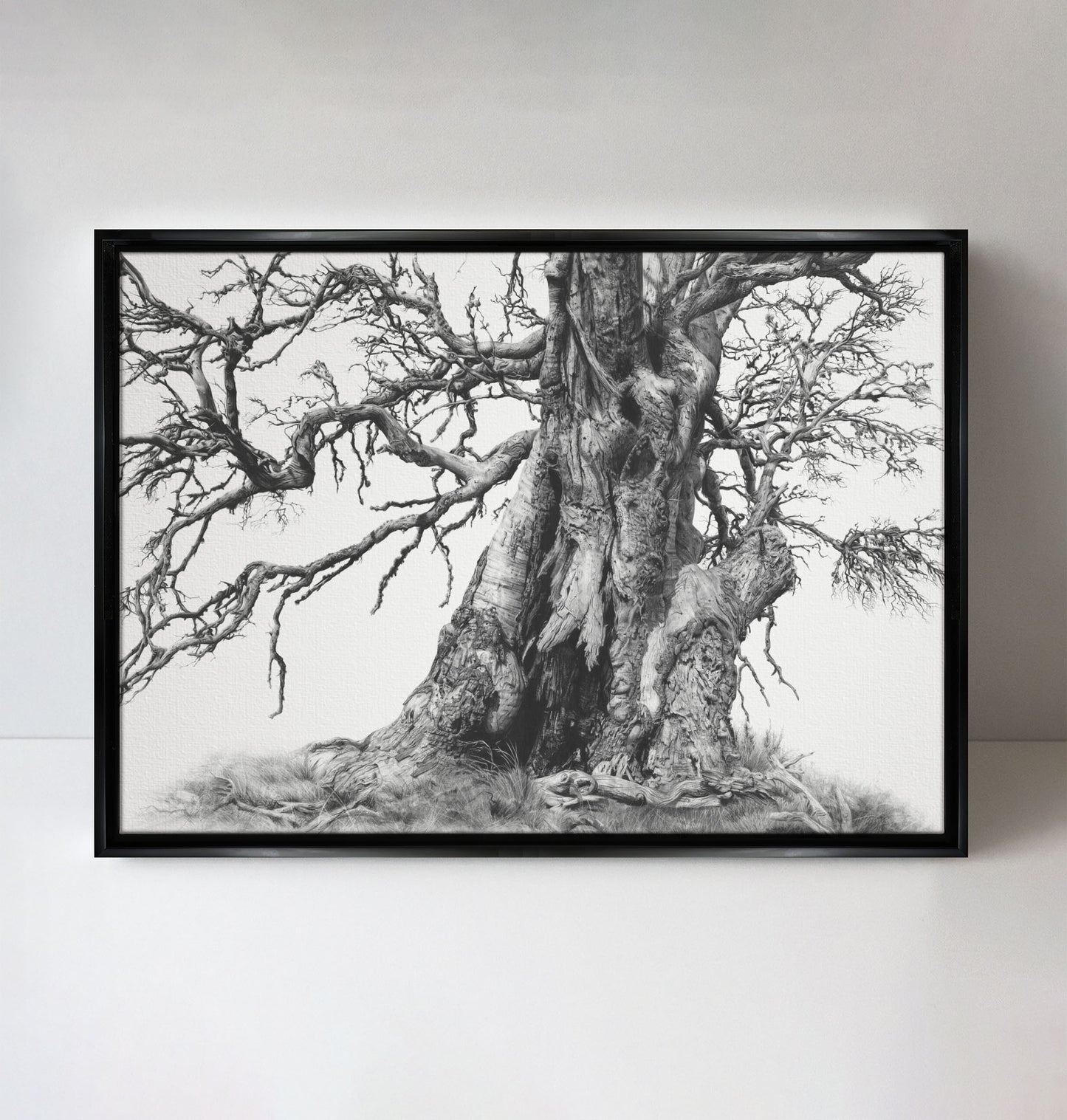 'Tree Elder 1' canvas print
