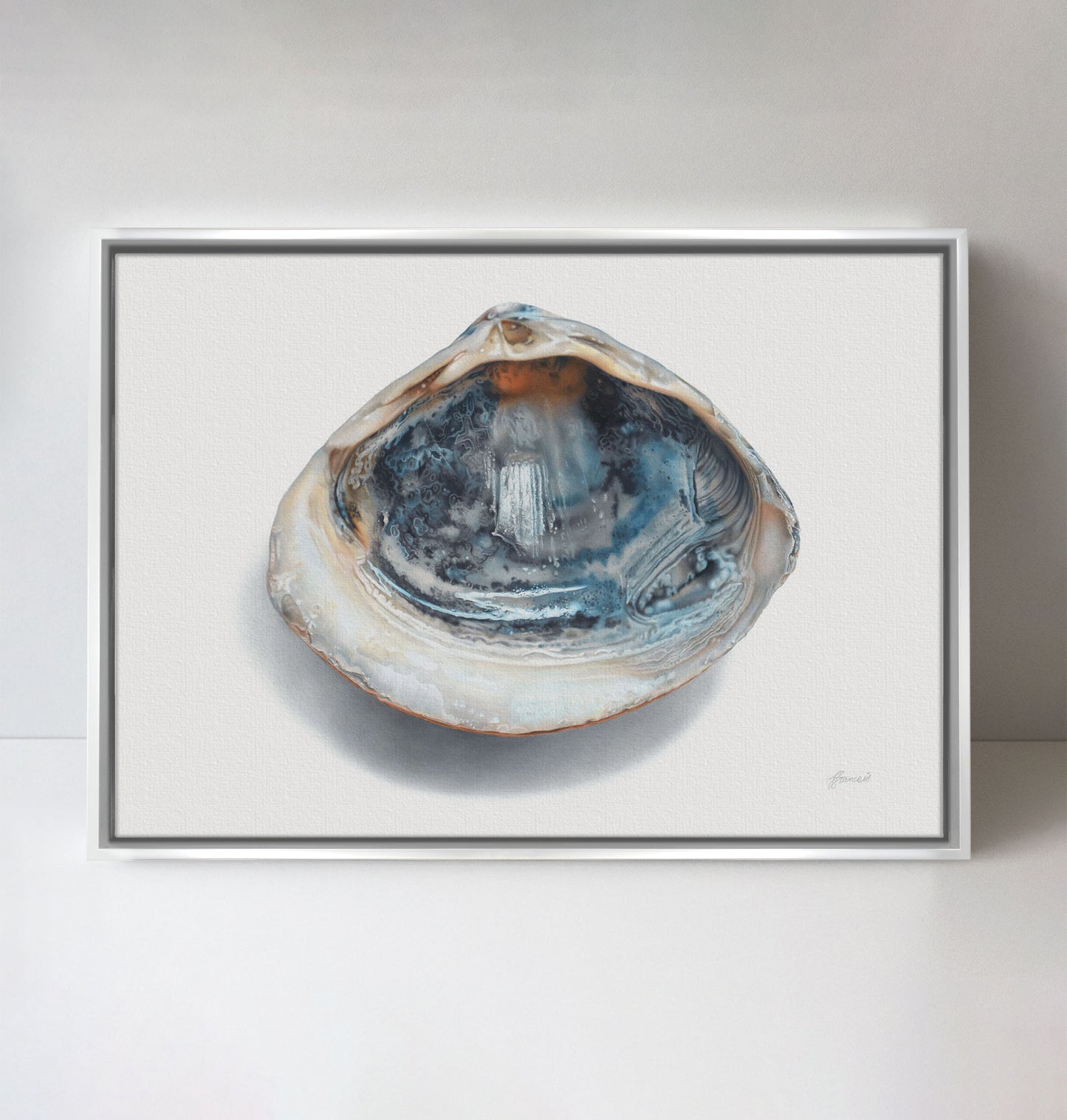 'Blue Shell' canvas print