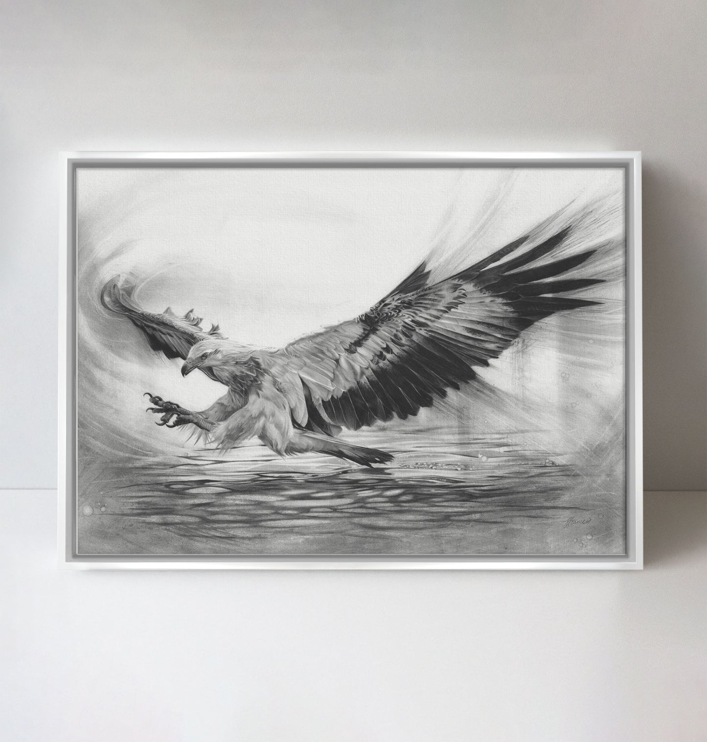 'White-bellied Sea Eagle' canvas print