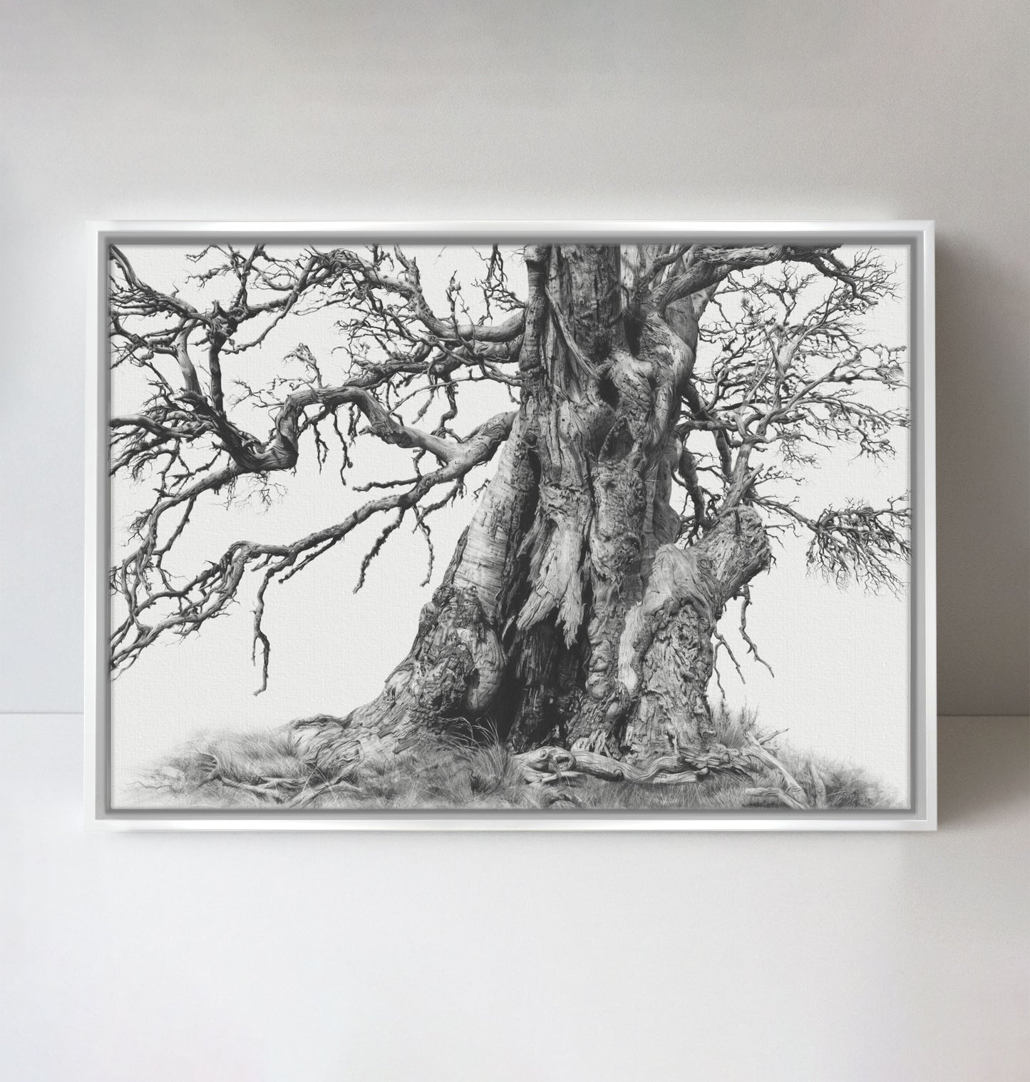 'Tree Elder 1' canvas print