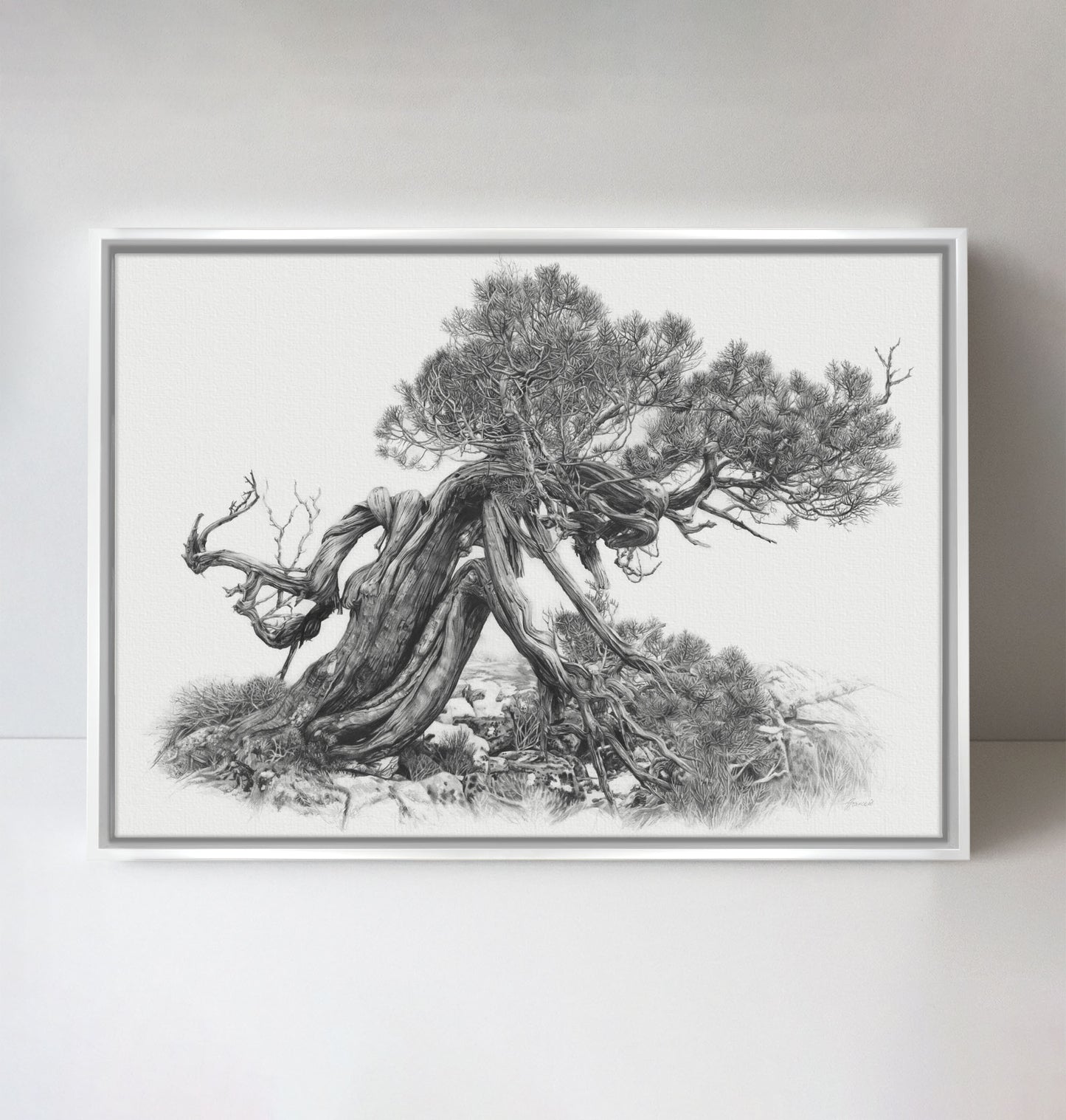 'Tree Elder 2' canvas print