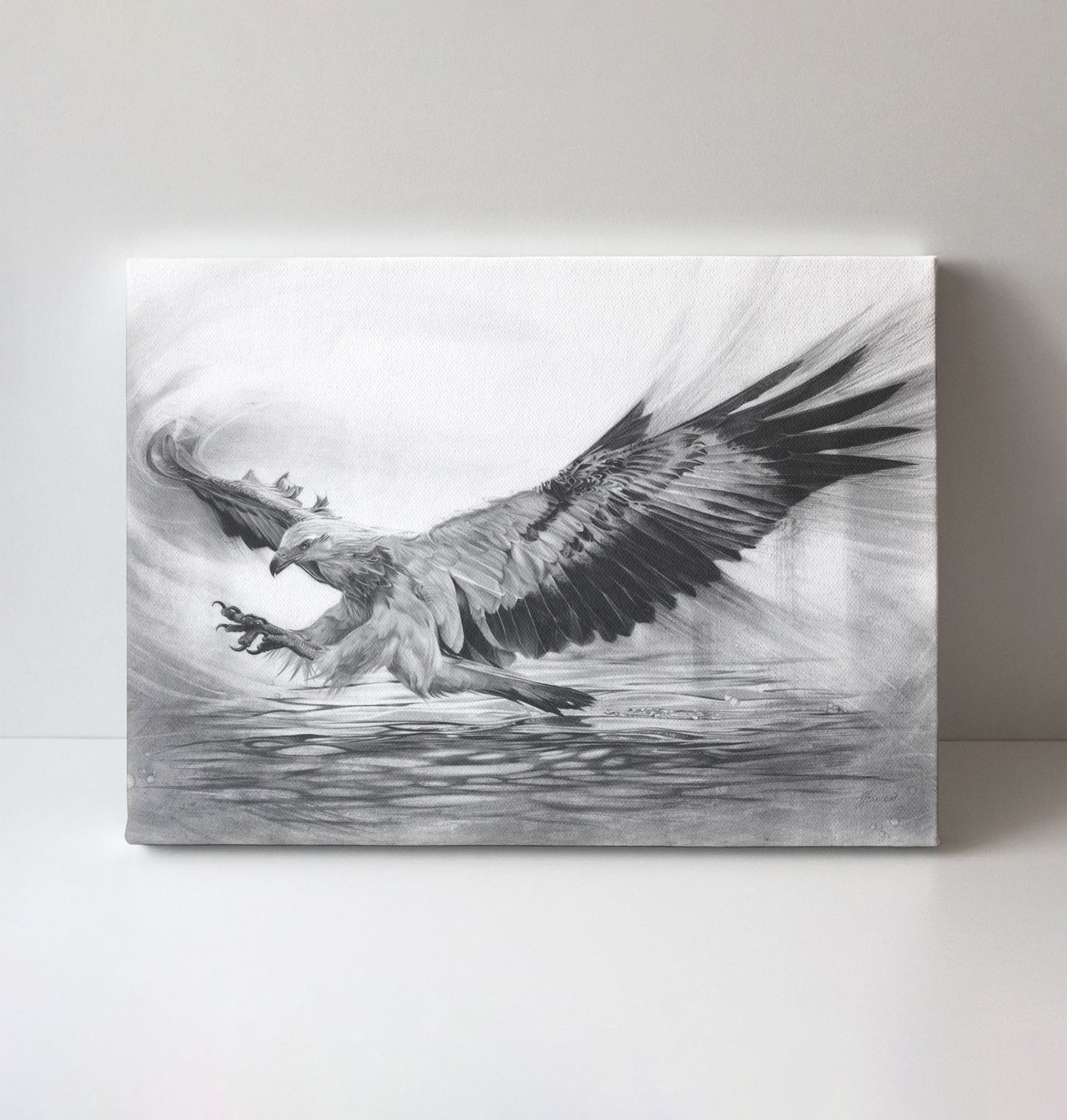 'White-bellied Sea Eagle' canvas print