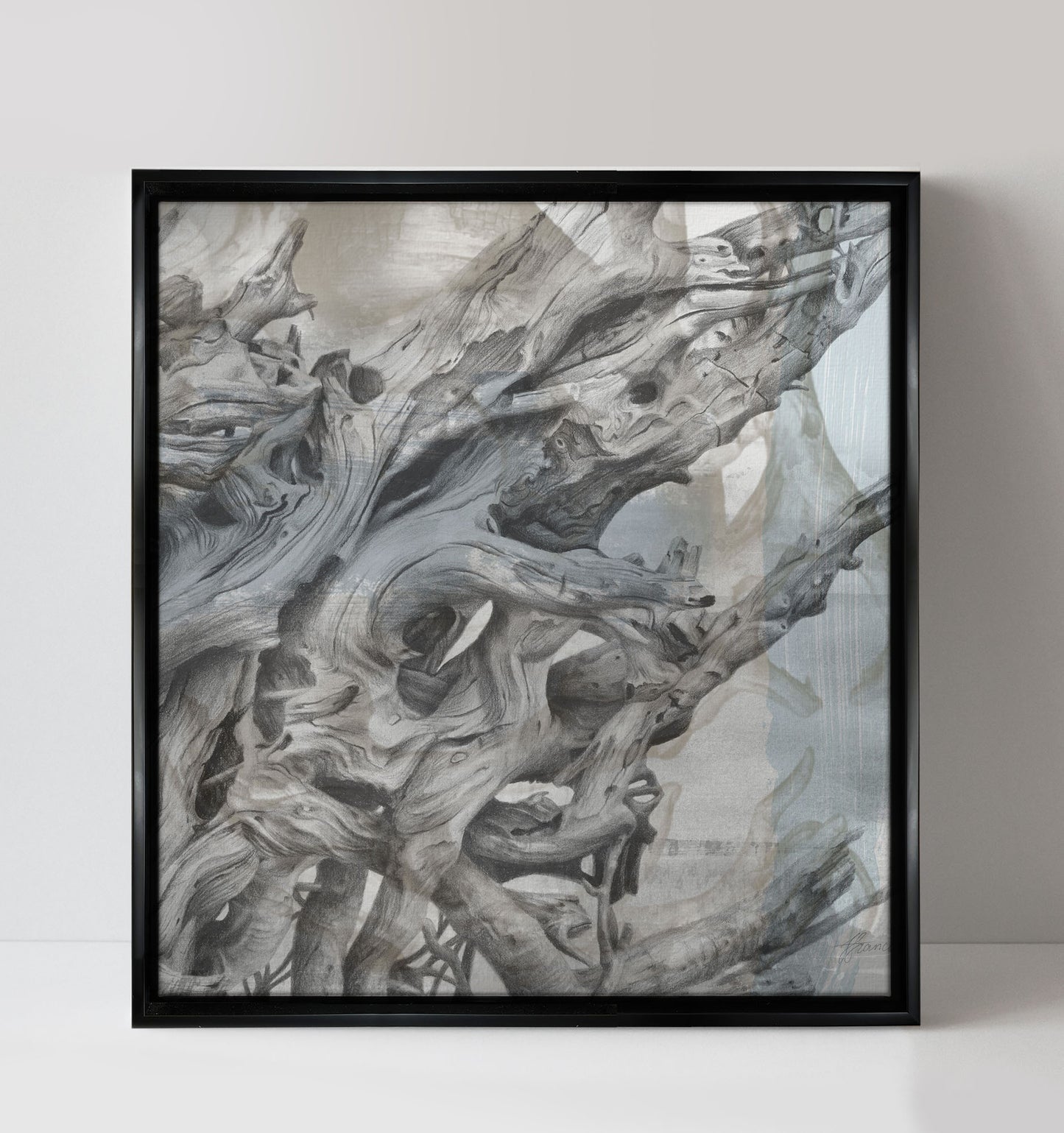 'Driftwood Study 2' canvas print