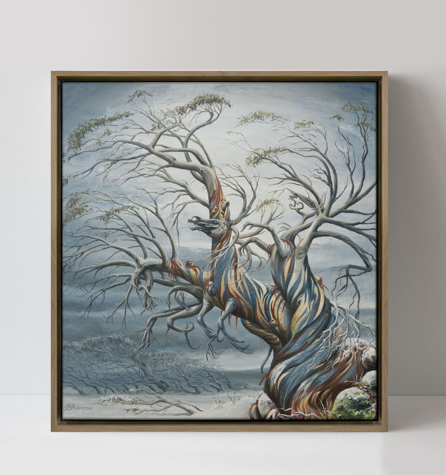 'Dead Horse Gap' canvas print