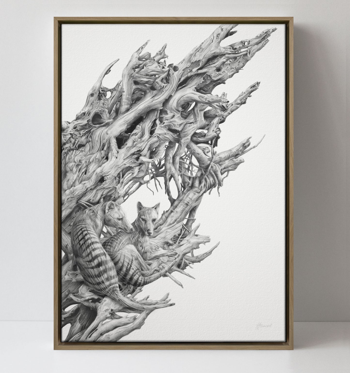 'Driftwood Thylacine' canvas print