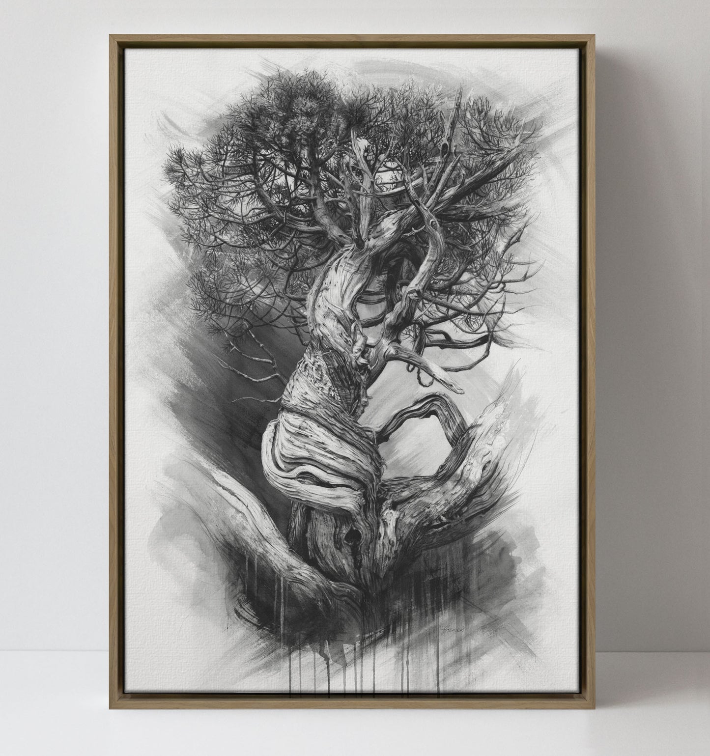 'Tree Elder 3' canvas print