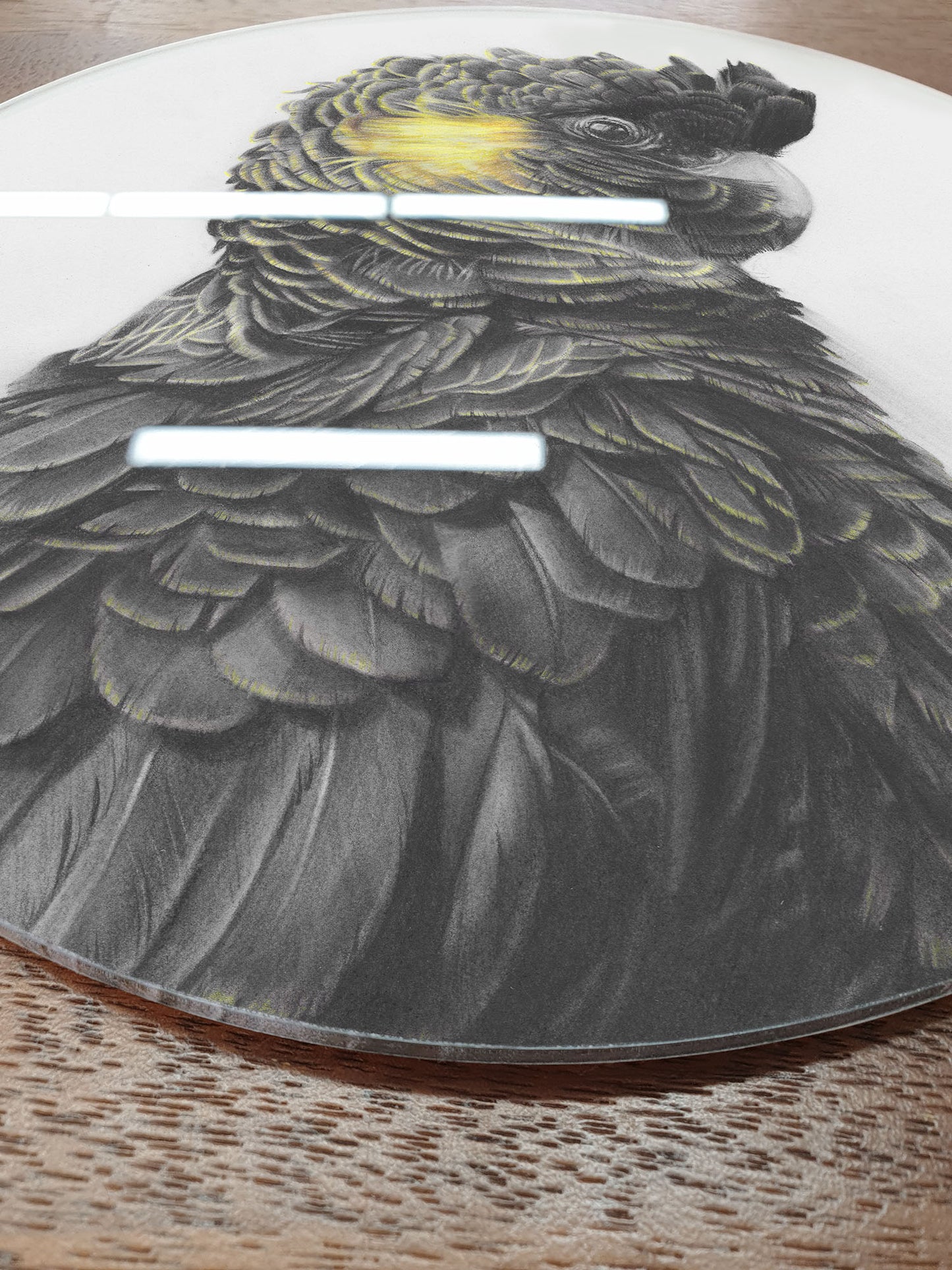'Black Cockatoo' circular acrylic print