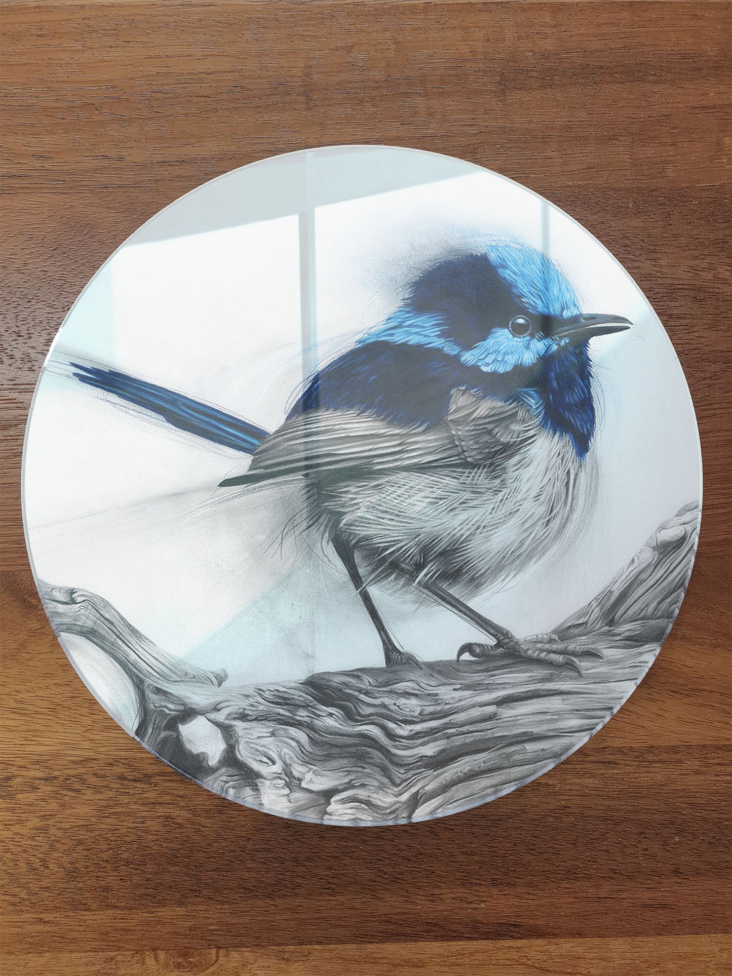 'Fairy Wren' circular acrylic print