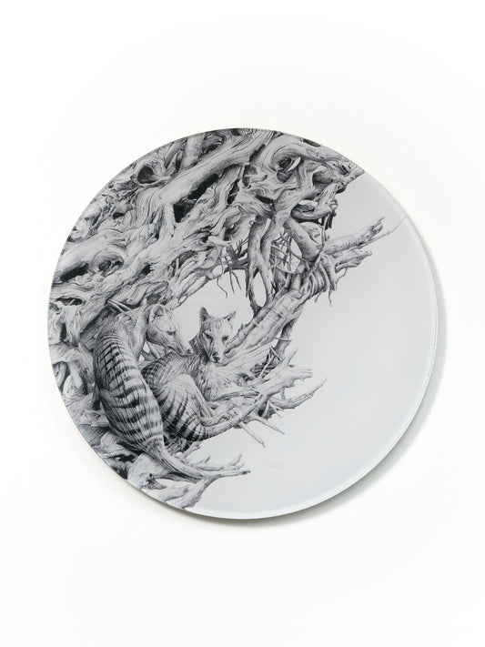'Driftwood Thylacine' acrylic coaster
