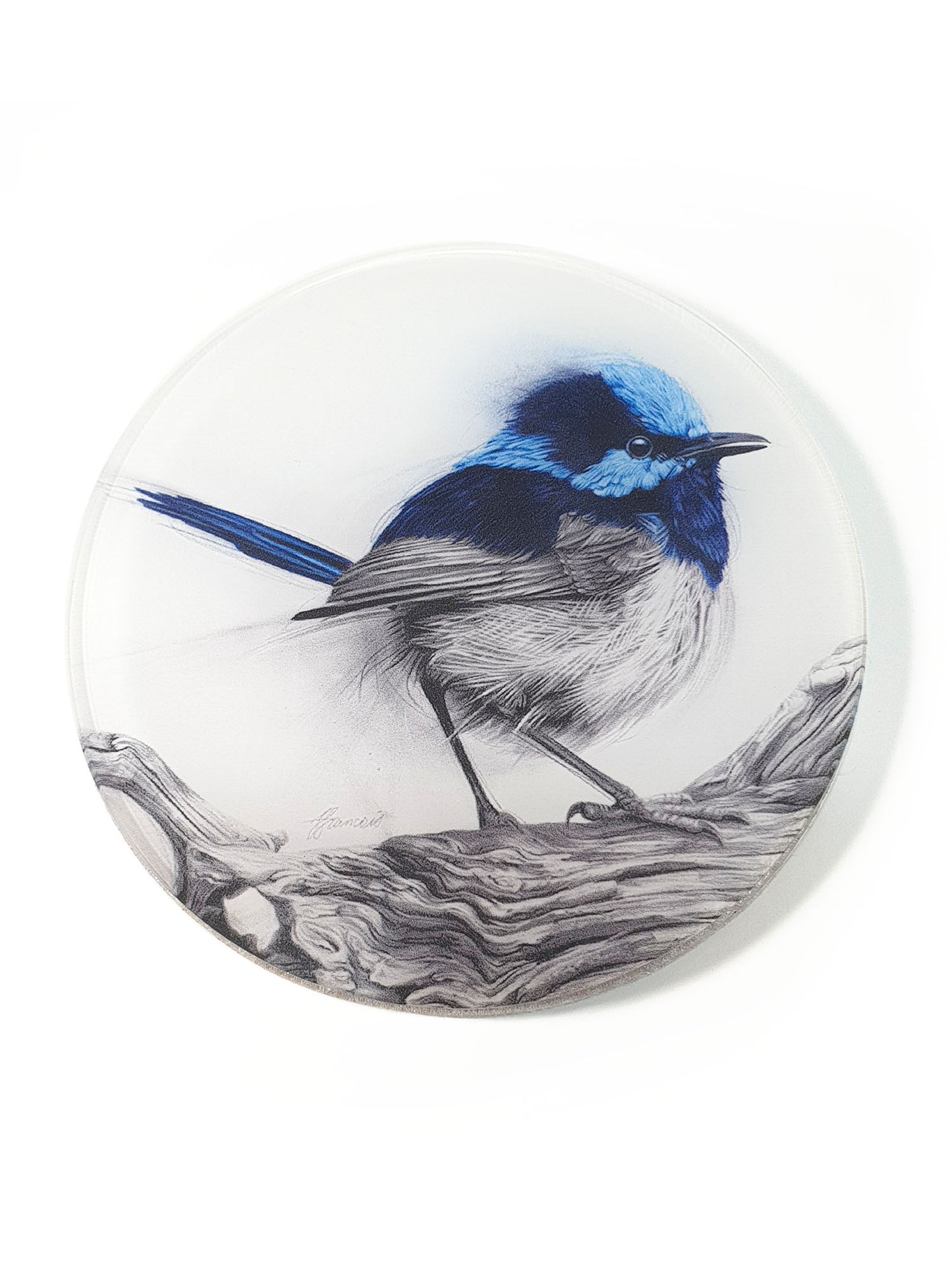 'Fairy Wren' acrylic coaster