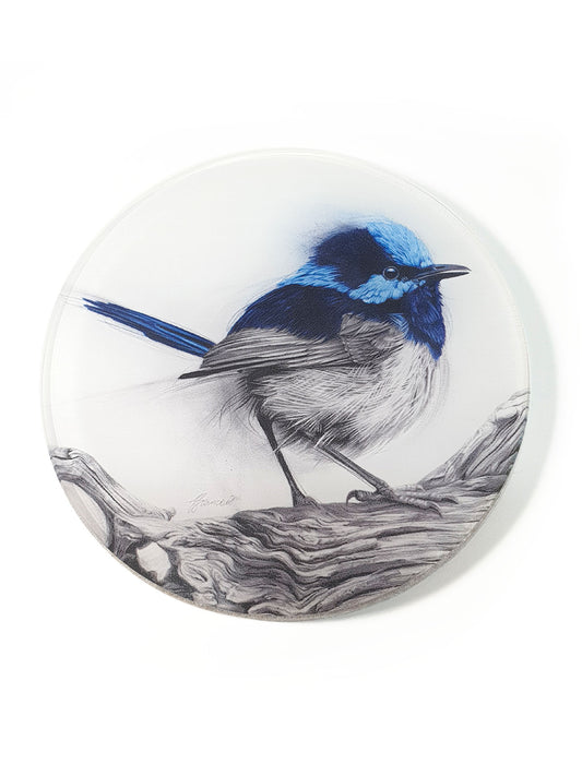 'Fairy Wren' acrylic coaster