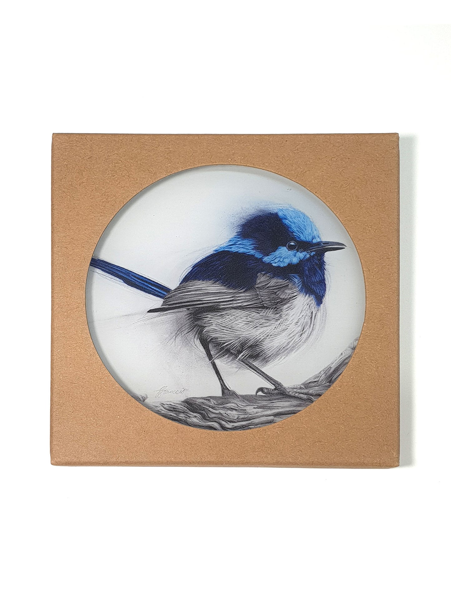 'Fairy Wren' acrylic coaster