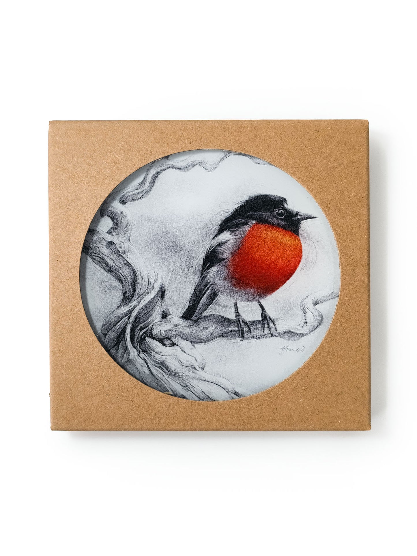 'Scarlet Robin' acrylic coaster