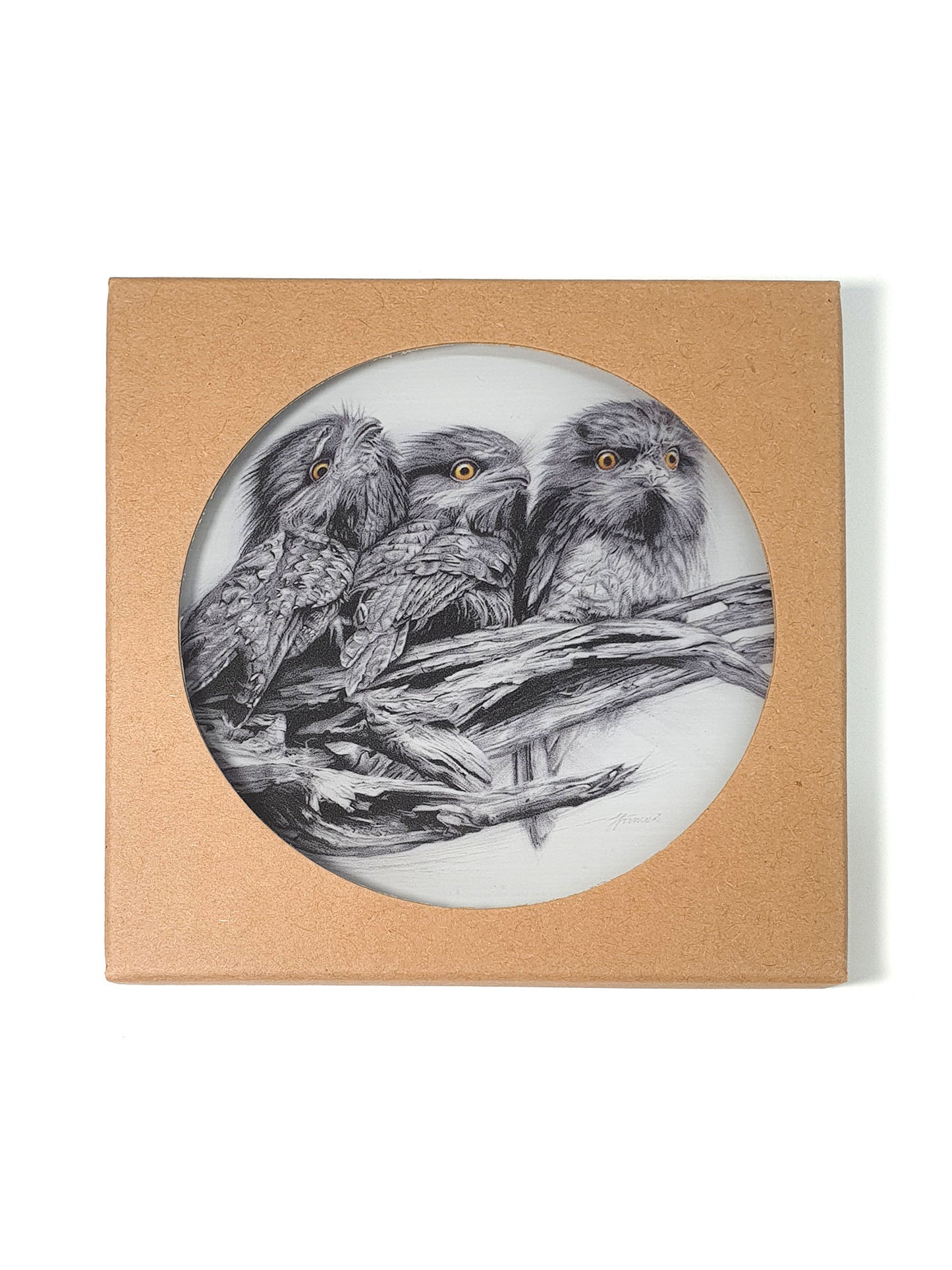 'Tawny Frogmouth Trio' acrylic coaster