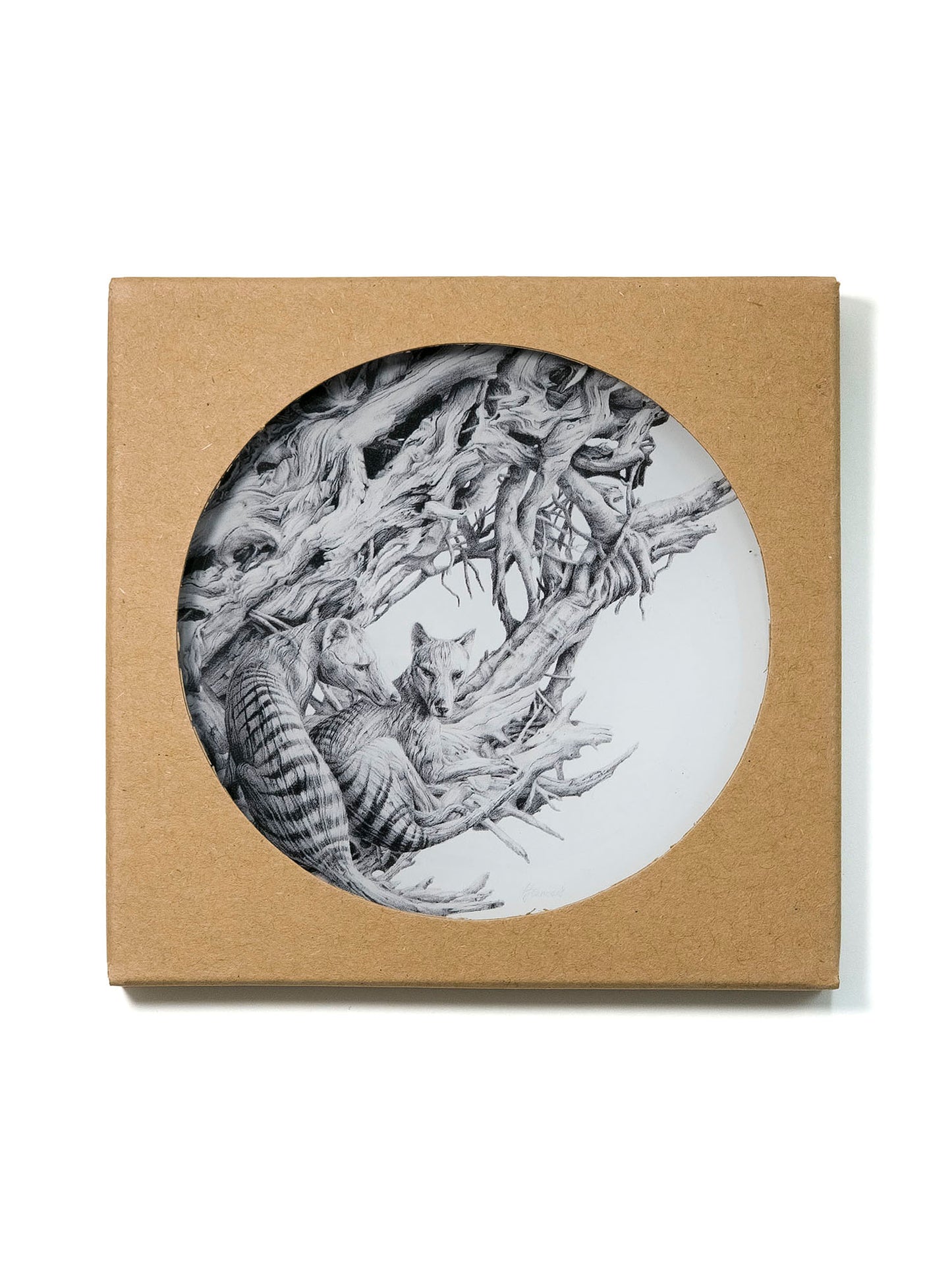'Driftwood Thylacine' acrylic coaster