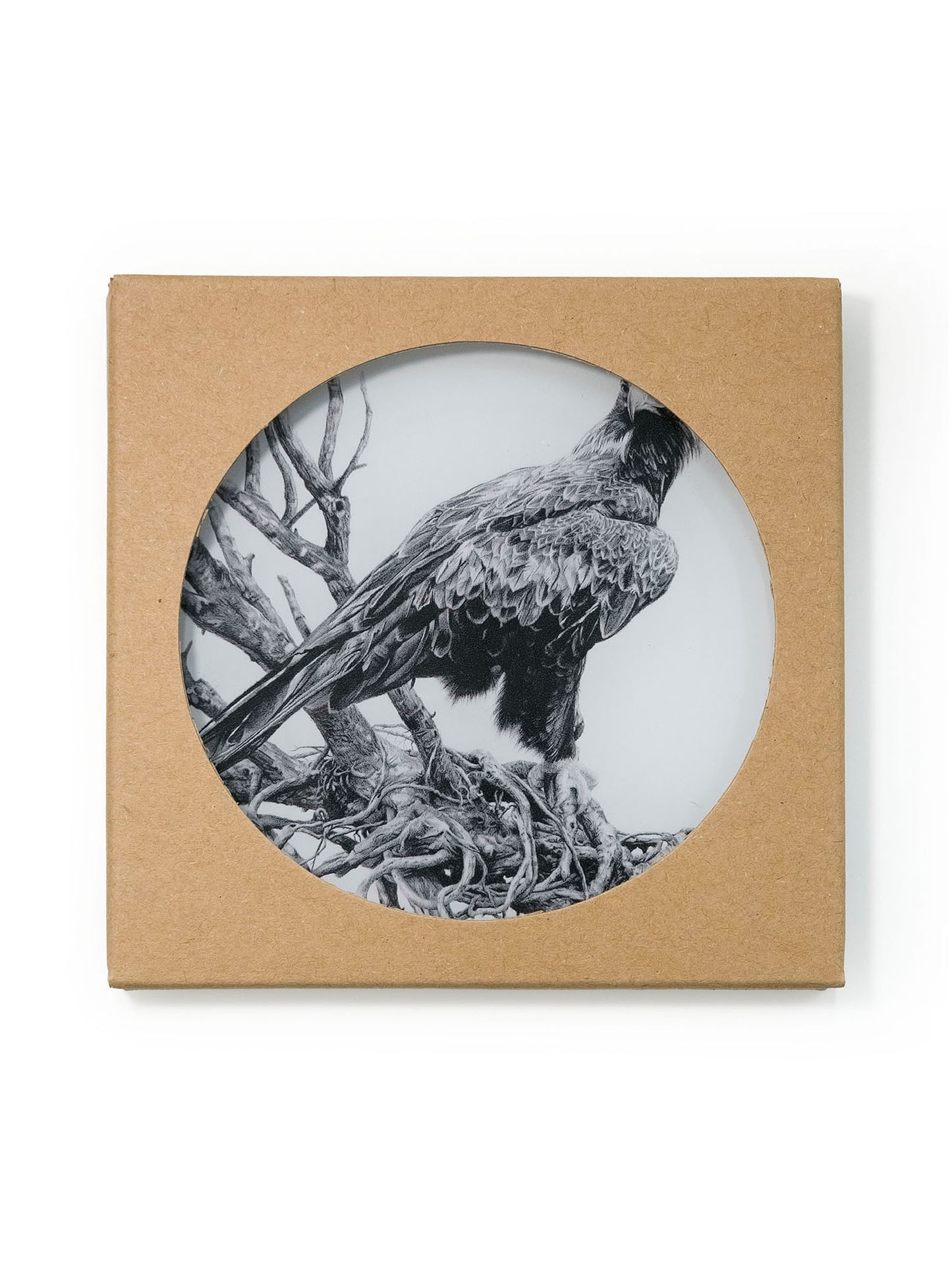 'Wedge-tailed Eagle' acrylic coaster