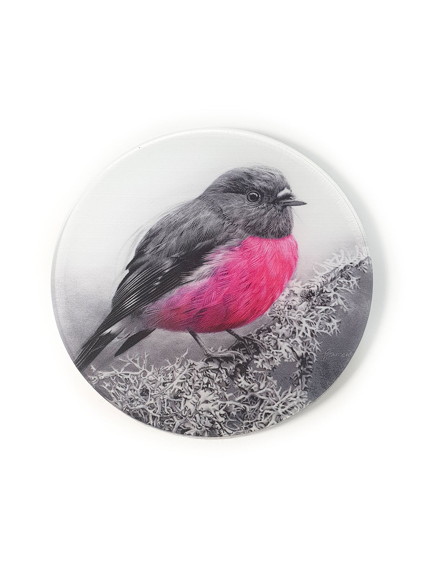 'Pink Robin' acrylic coaster
