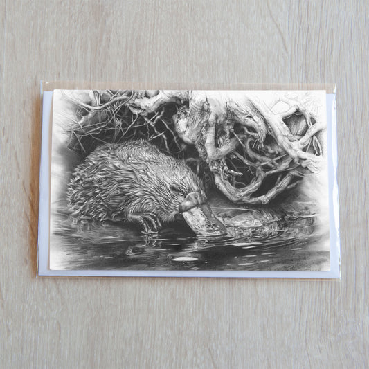 'Platypus' greeting card