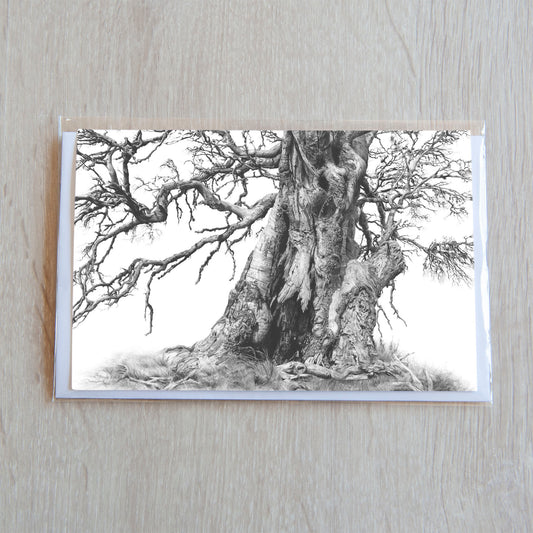 'Tree Elder 1' greeting card