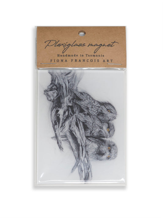 Tawny Frogmouth magnet