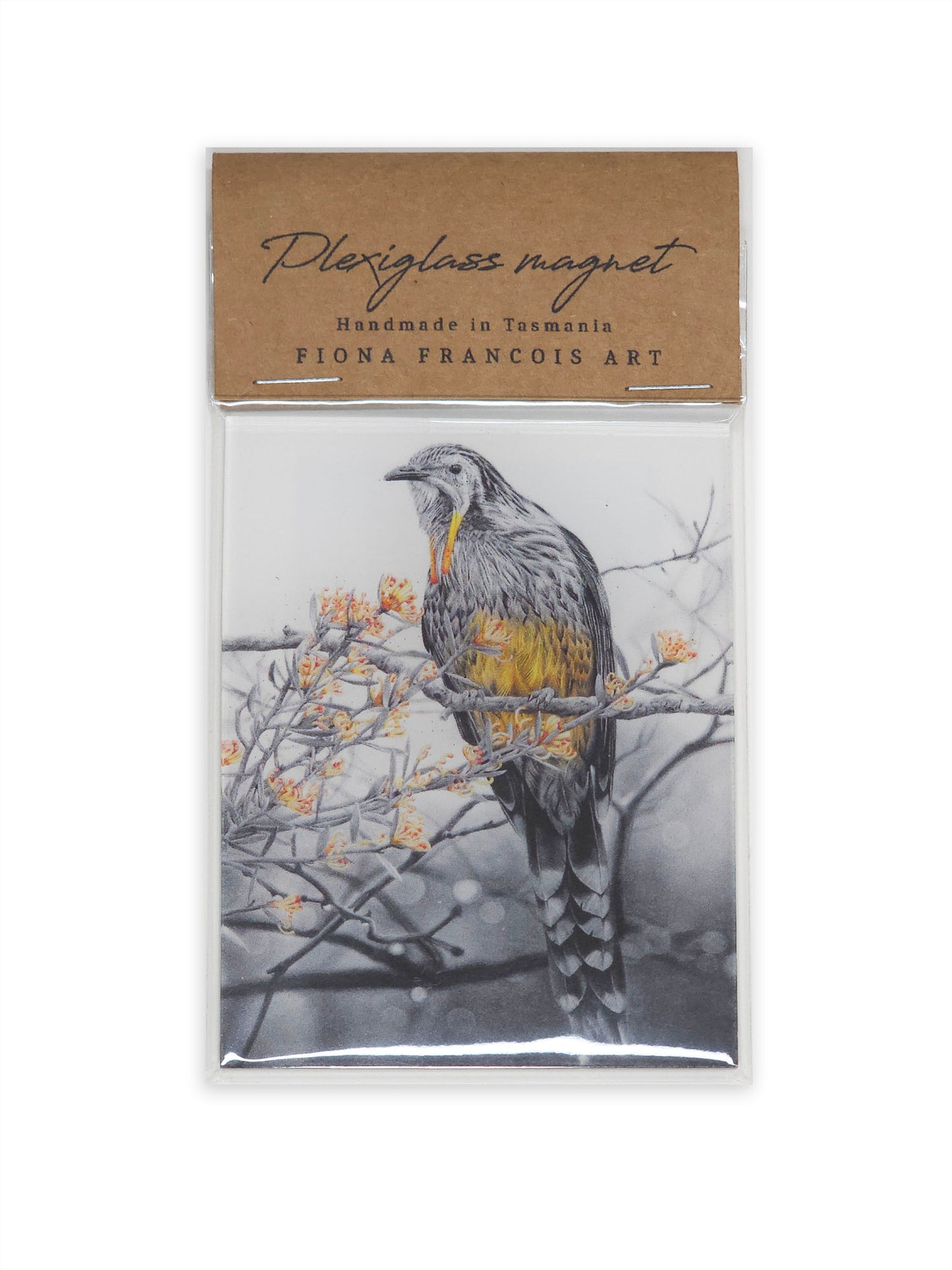 Yellow Wattlebird magnet