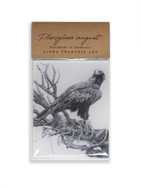 Wedge-tailed Eagle magnet