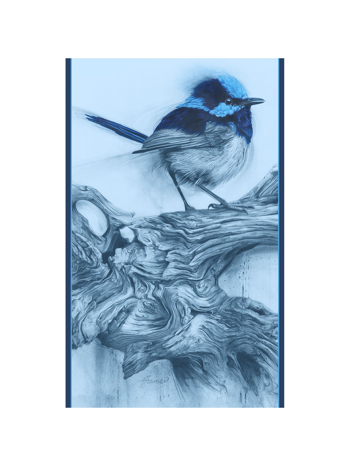 'Fairy Wren' Scarf