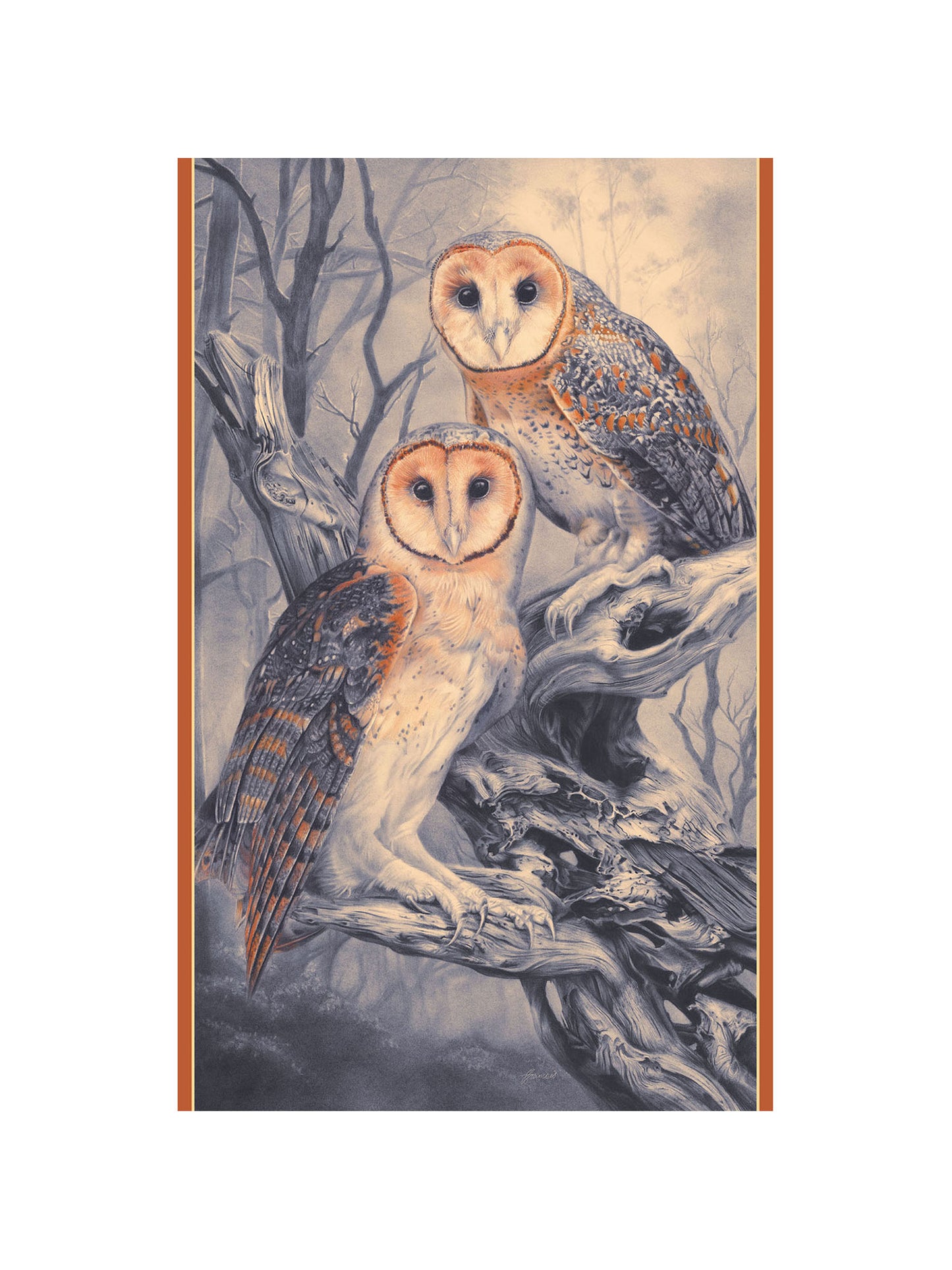 'Tasmanian Masked Owls' Scarf