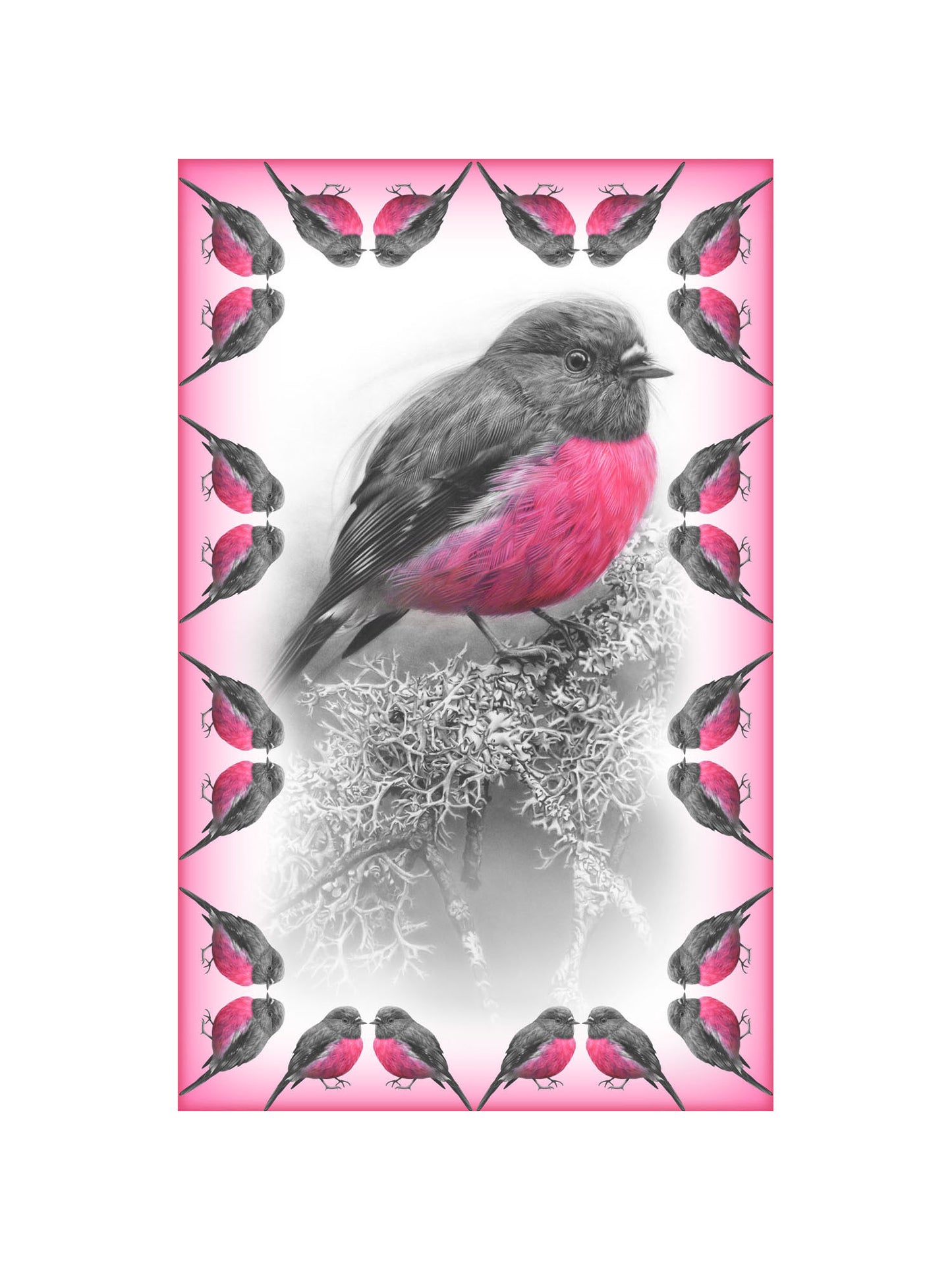 'Pink Robin' Scarf