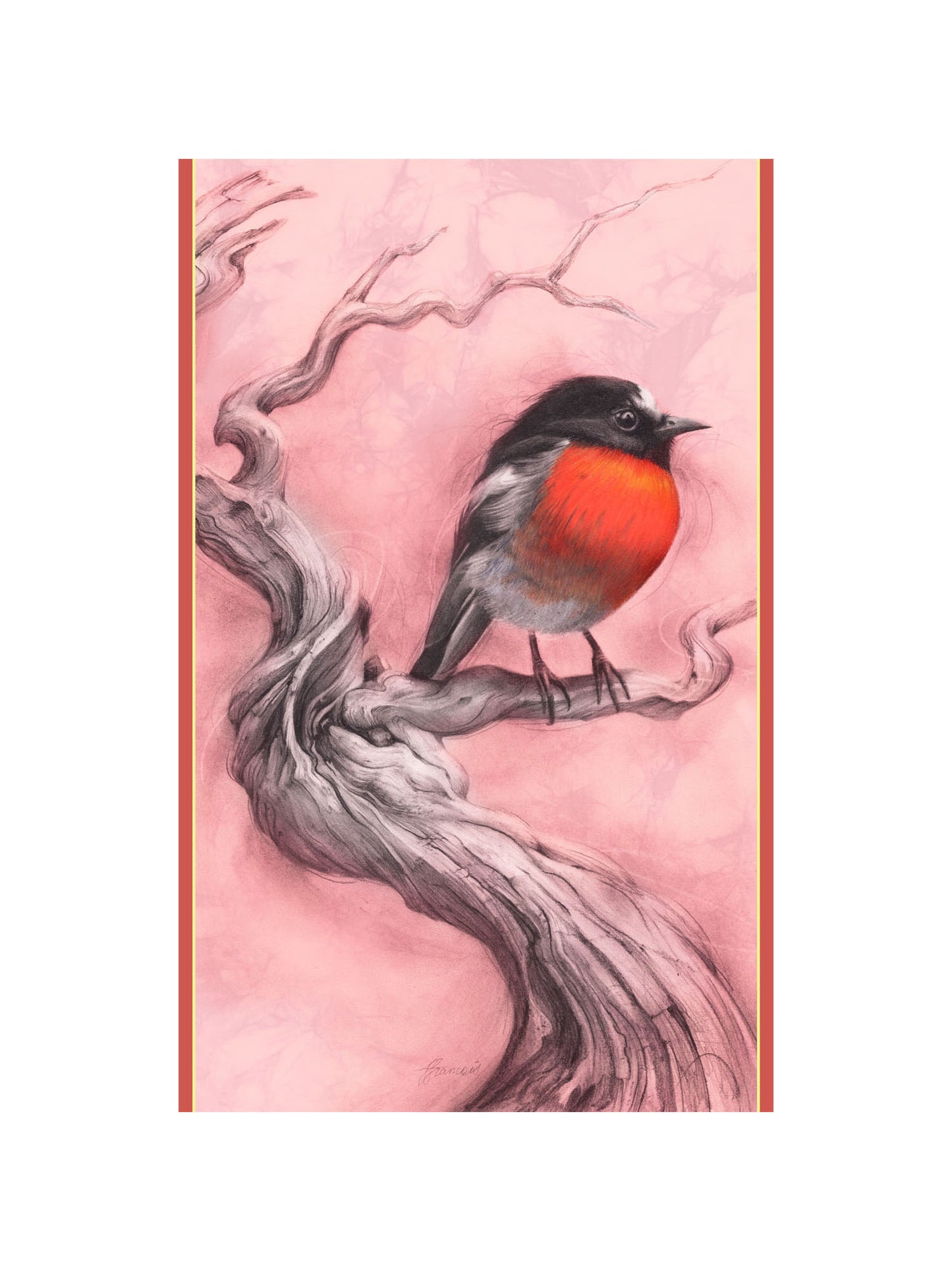 'Scarlet Robin' Scarf