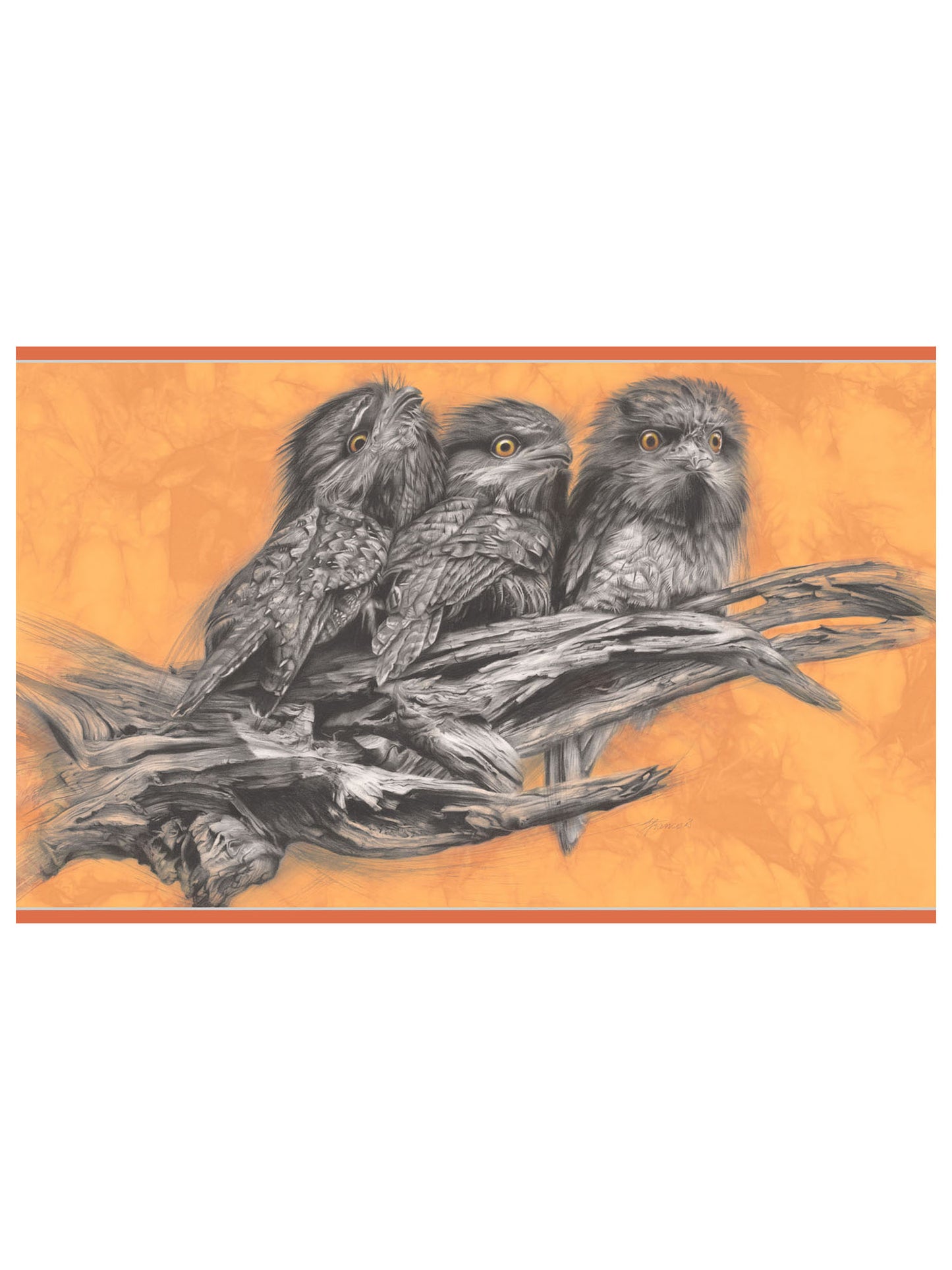 'Tawny Frogmouth Trio' Scarf
