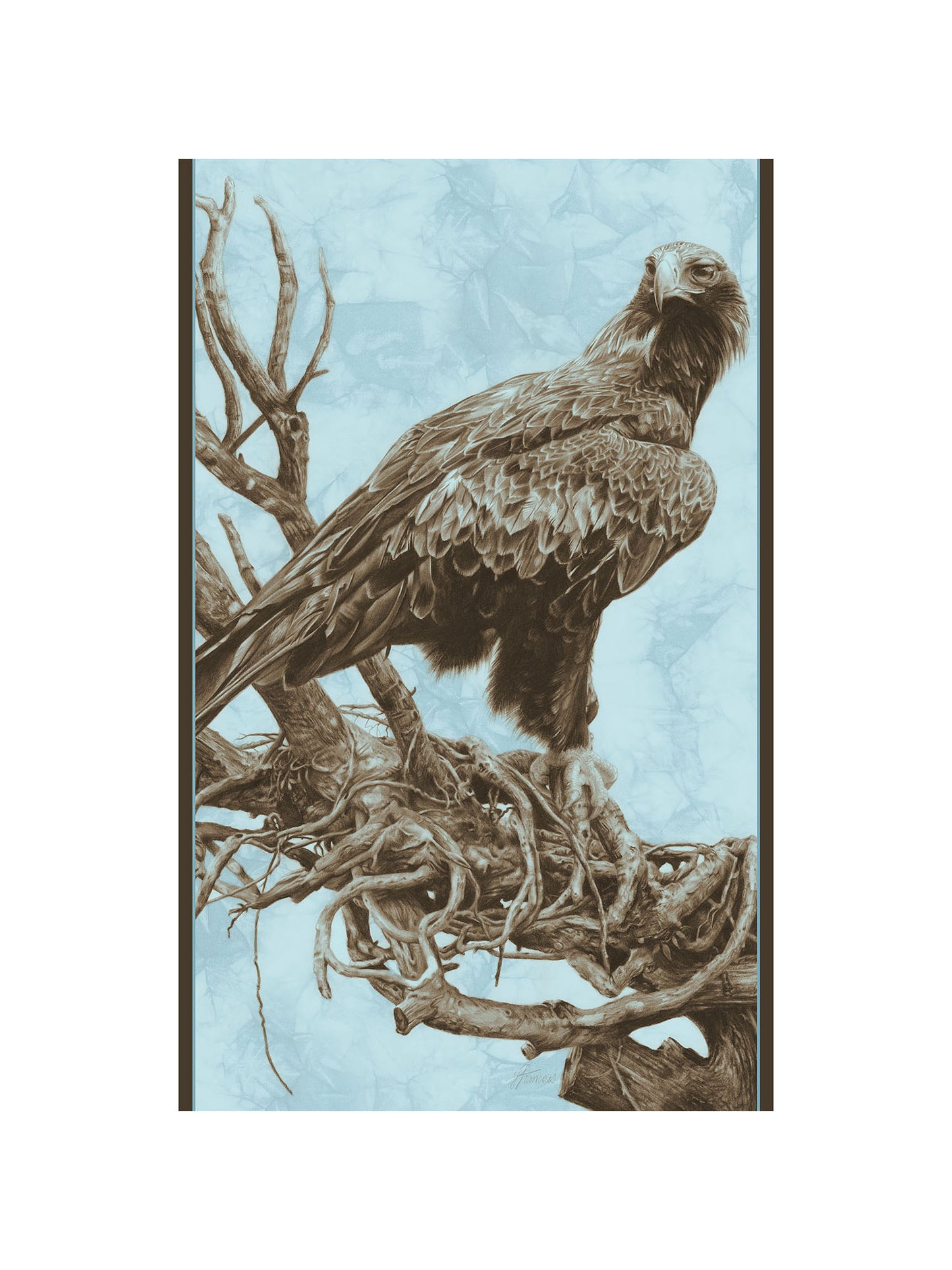 'Wedge-tailed Eagle' Scarf
