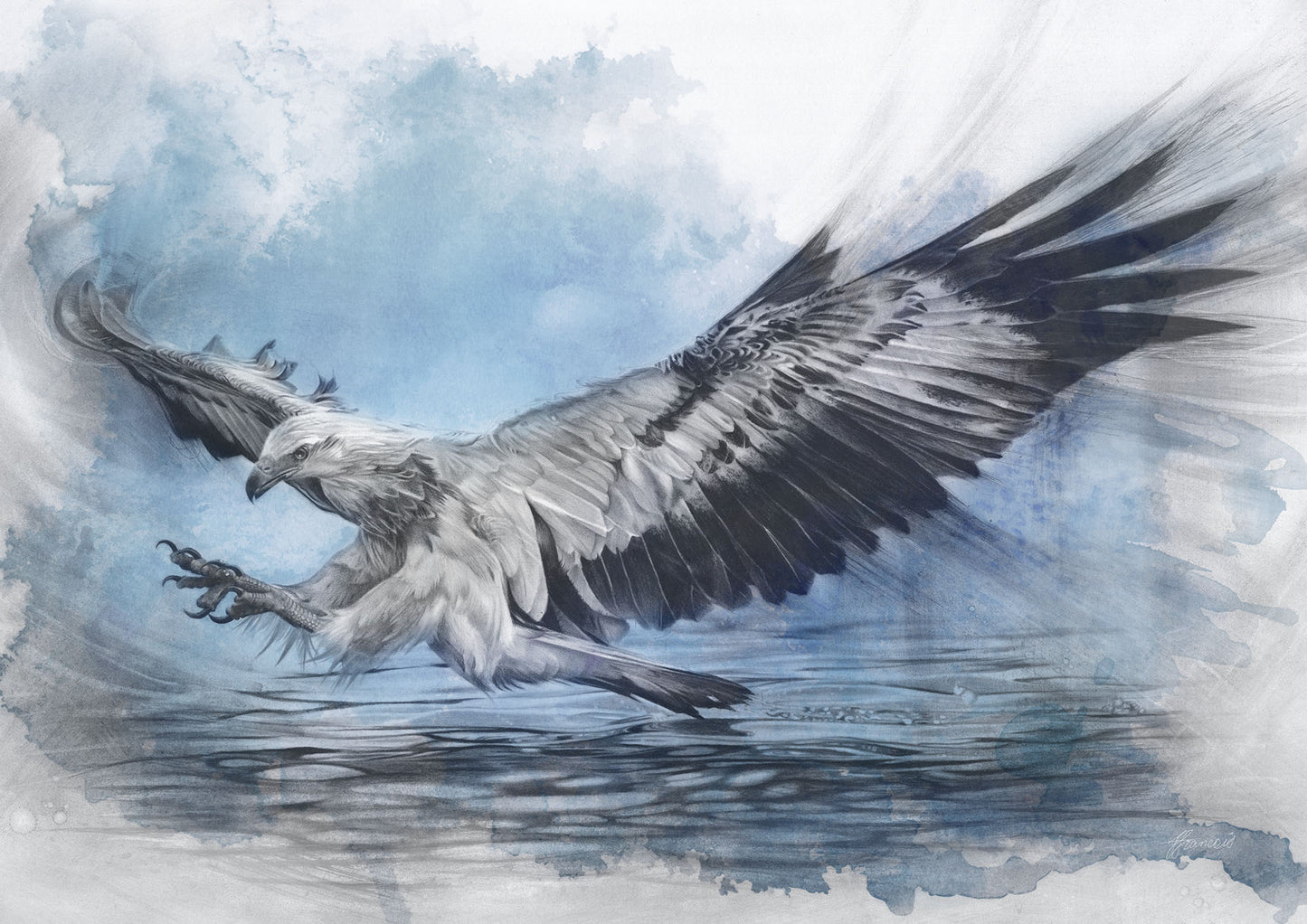 'White-bellied Sea Eagle Blue' canvas print