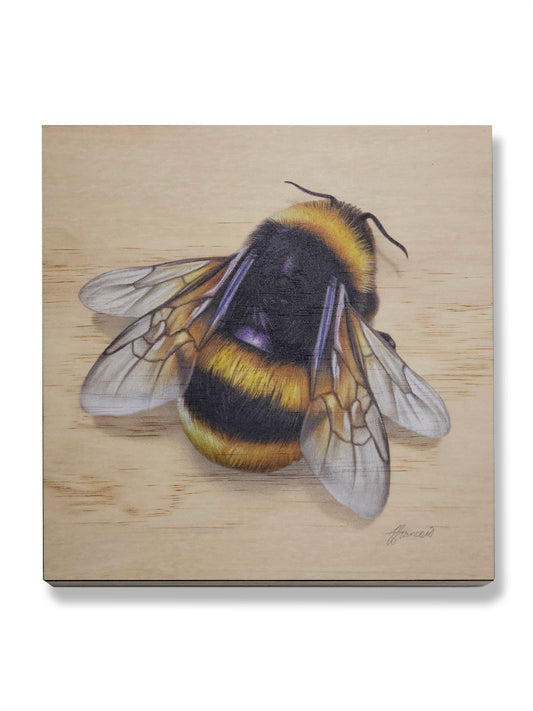Bumble Bee wood print