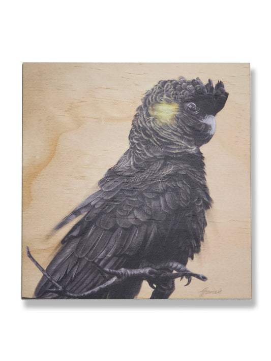 Black Cockatoo wood print