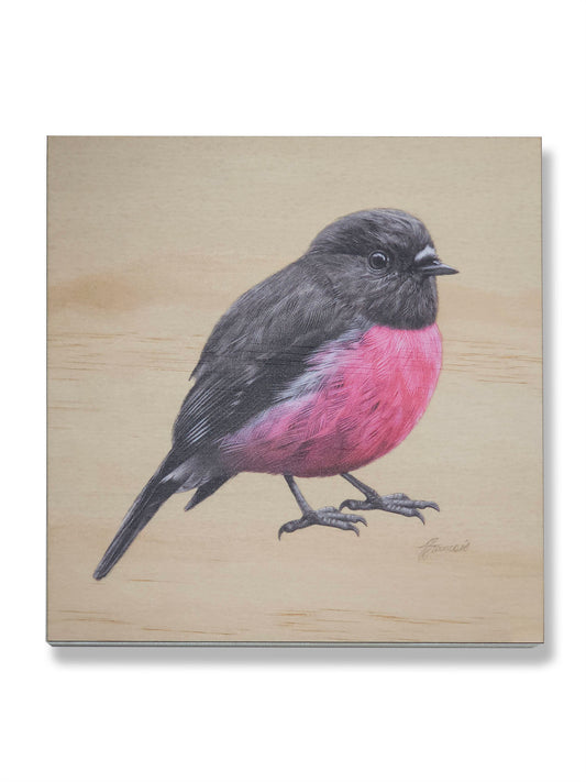 Pink Robin wood print