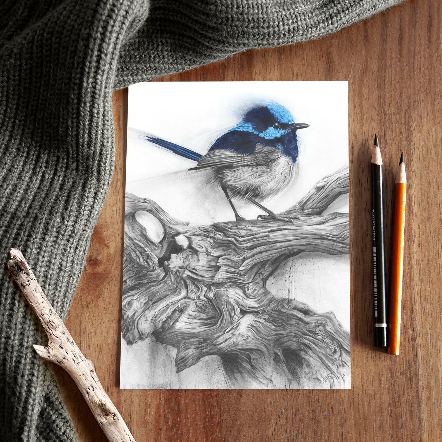 'Fairy Wren' A5 art card