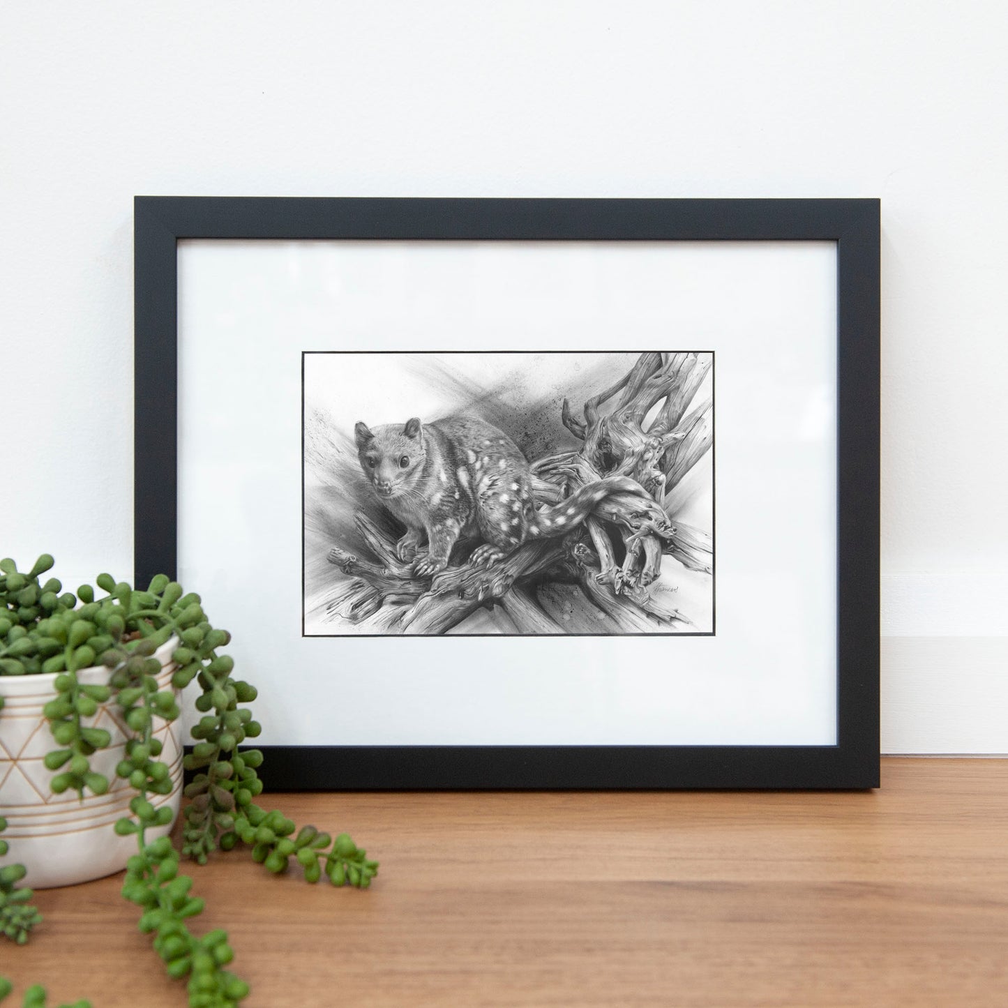 'Spotted Quoll' A5 art card
