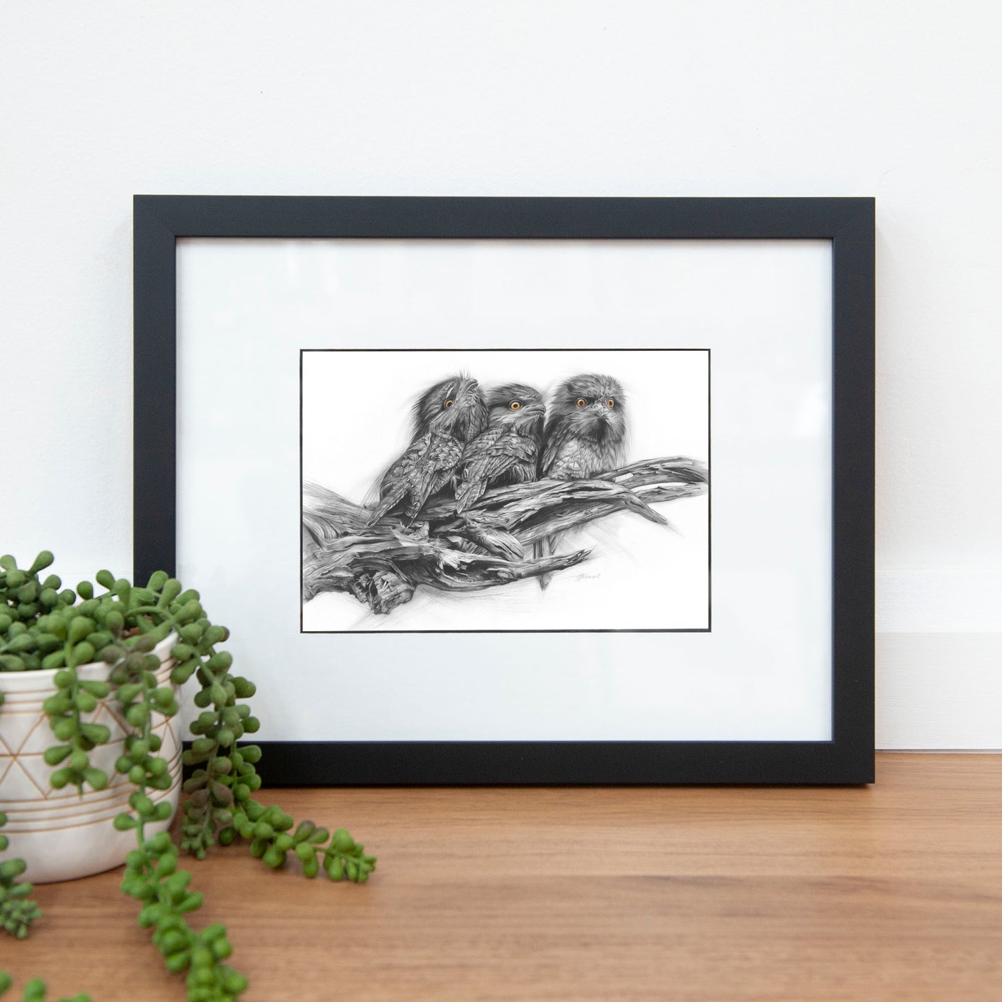 'Tawny Frogmouth Trio' A5 art card