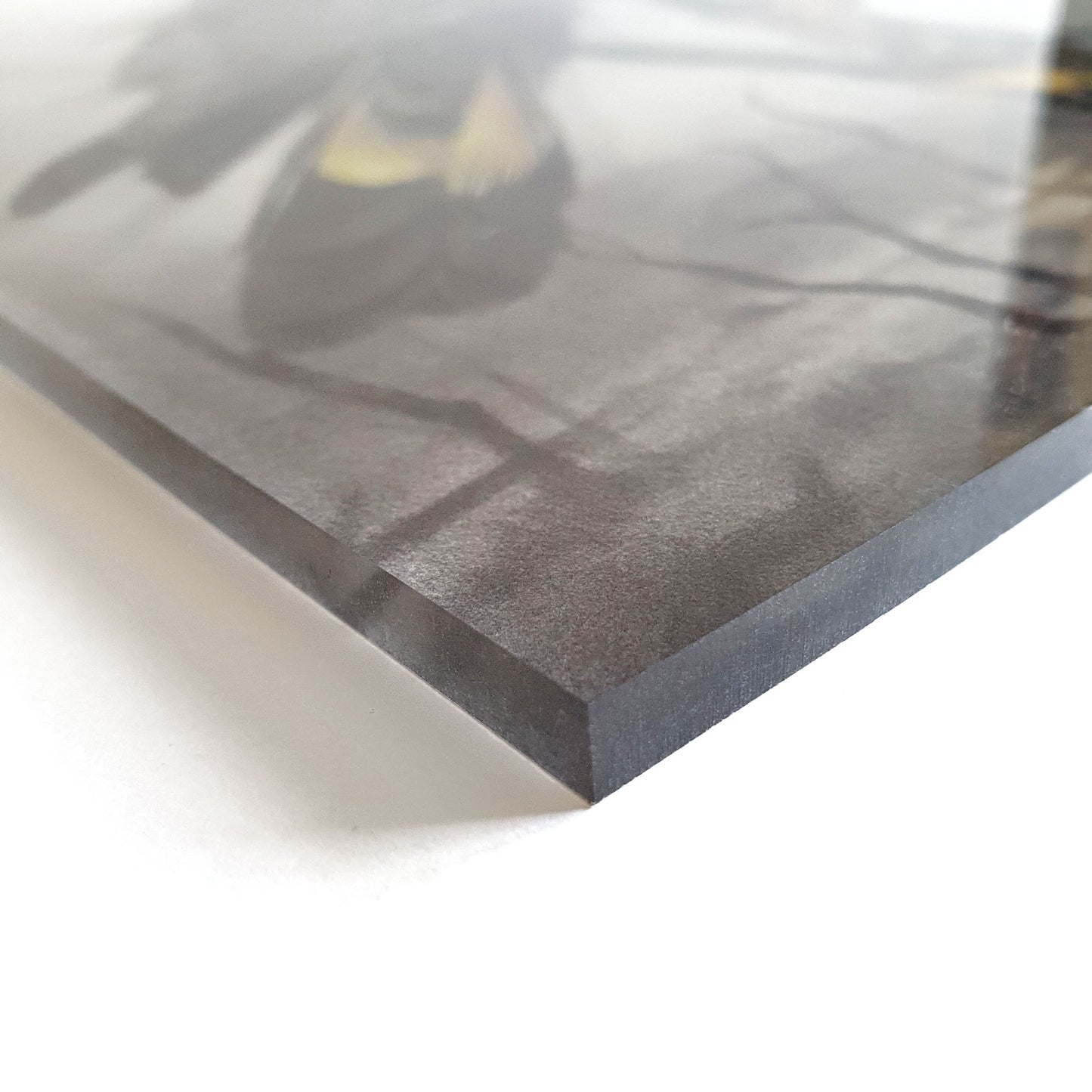 'Black Cockatoo' acrylic print